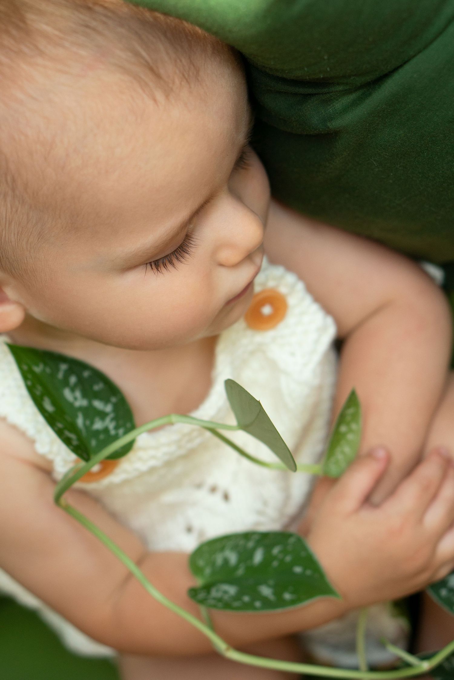 baby sleeps with vining houseplant artistically climbing on arm