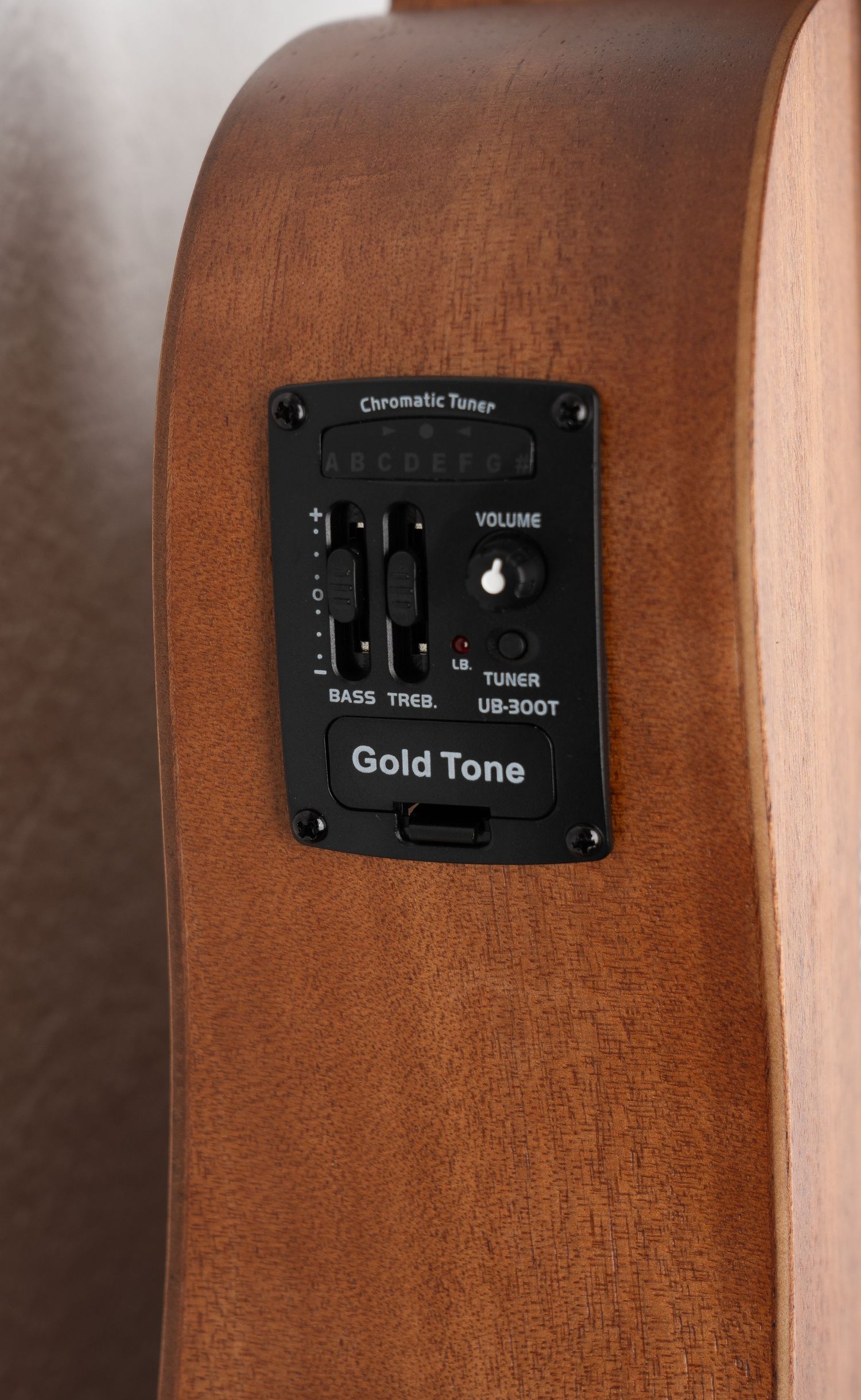 Control panel of acoustic-electric bass guitar with volume, EQ and tuner settings.