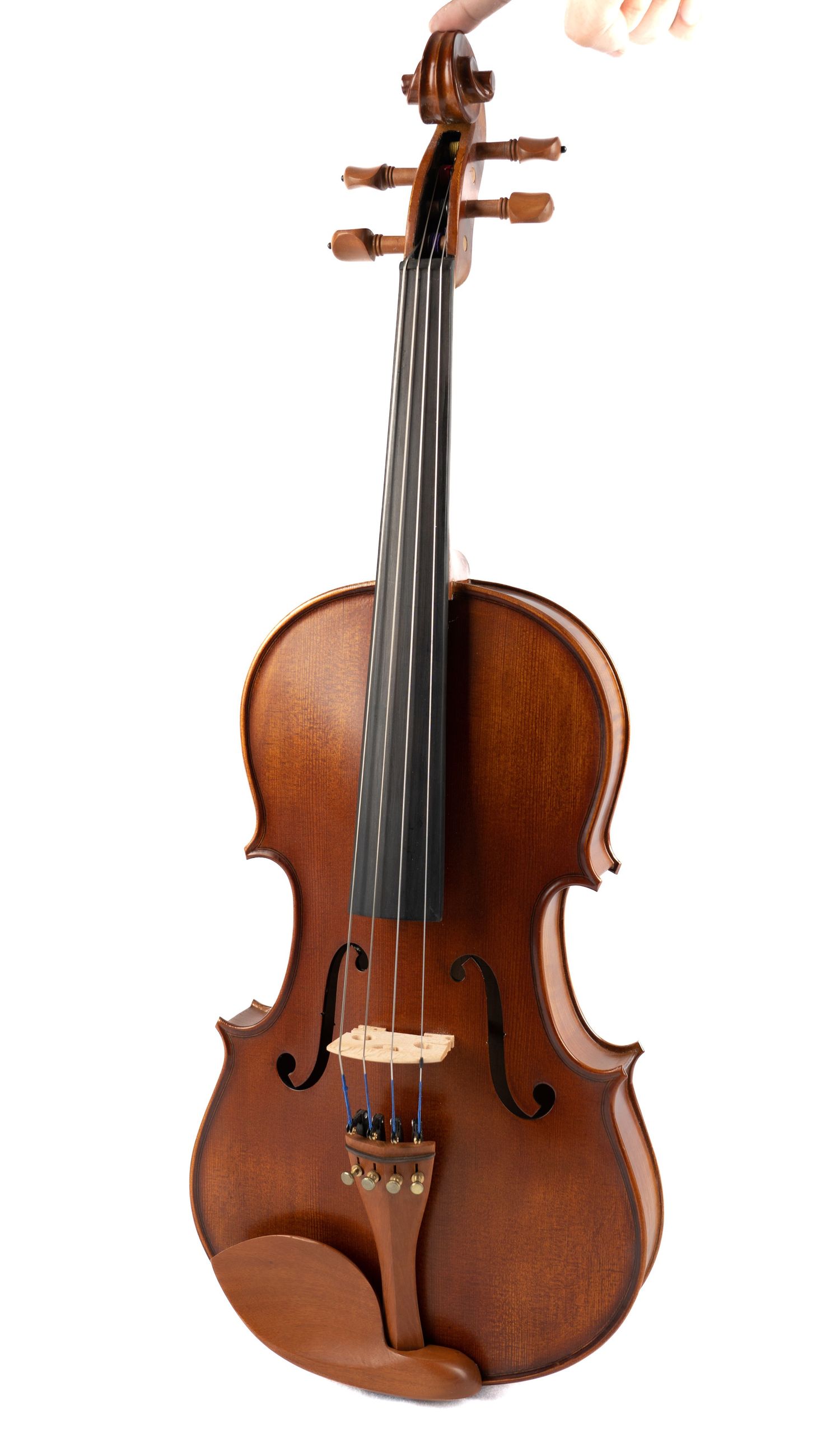 Professional violin with rich brown finish displayed at an angle showing strings and bridge.