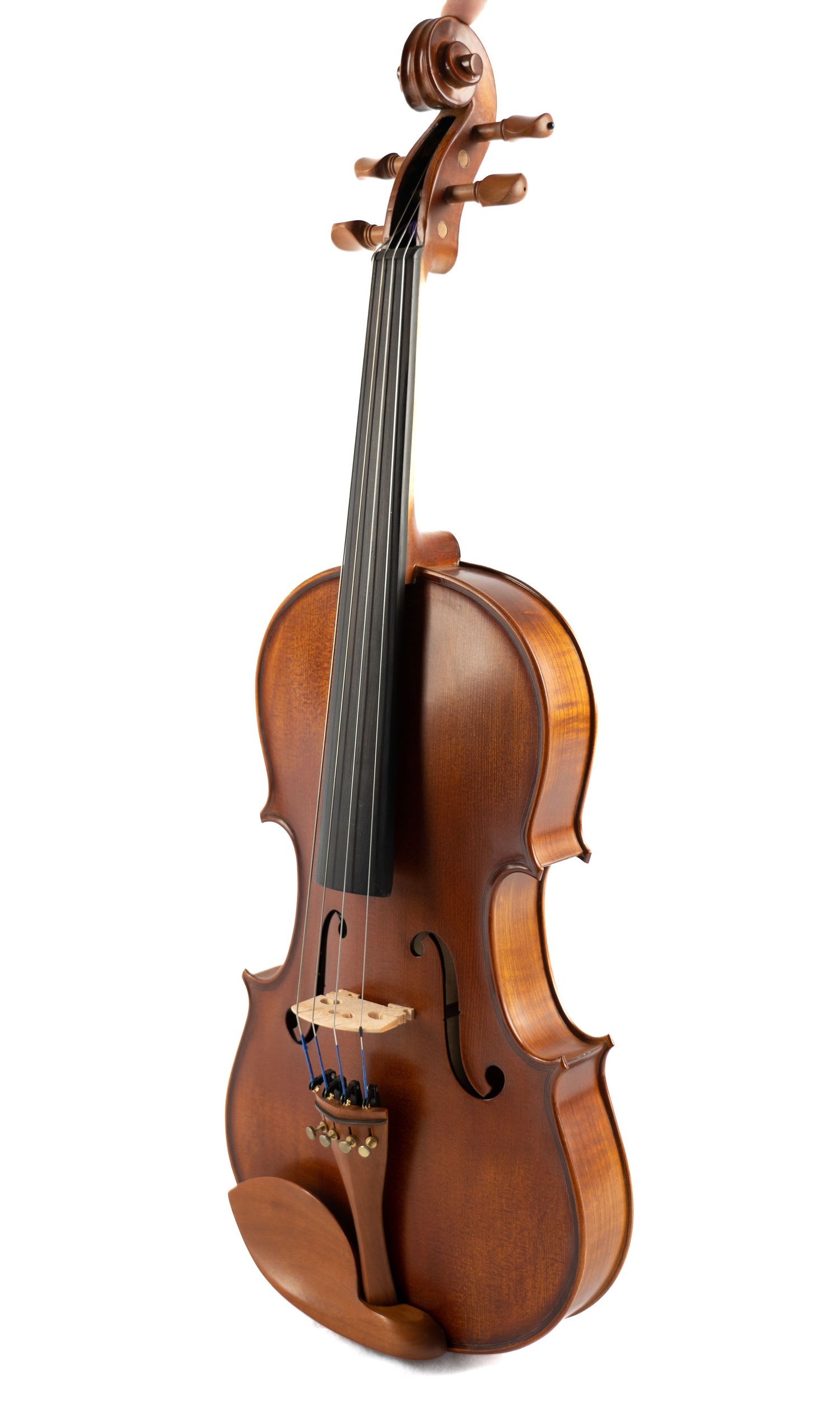 Full-length view of classical violin with warm brown finish displayed vertically.