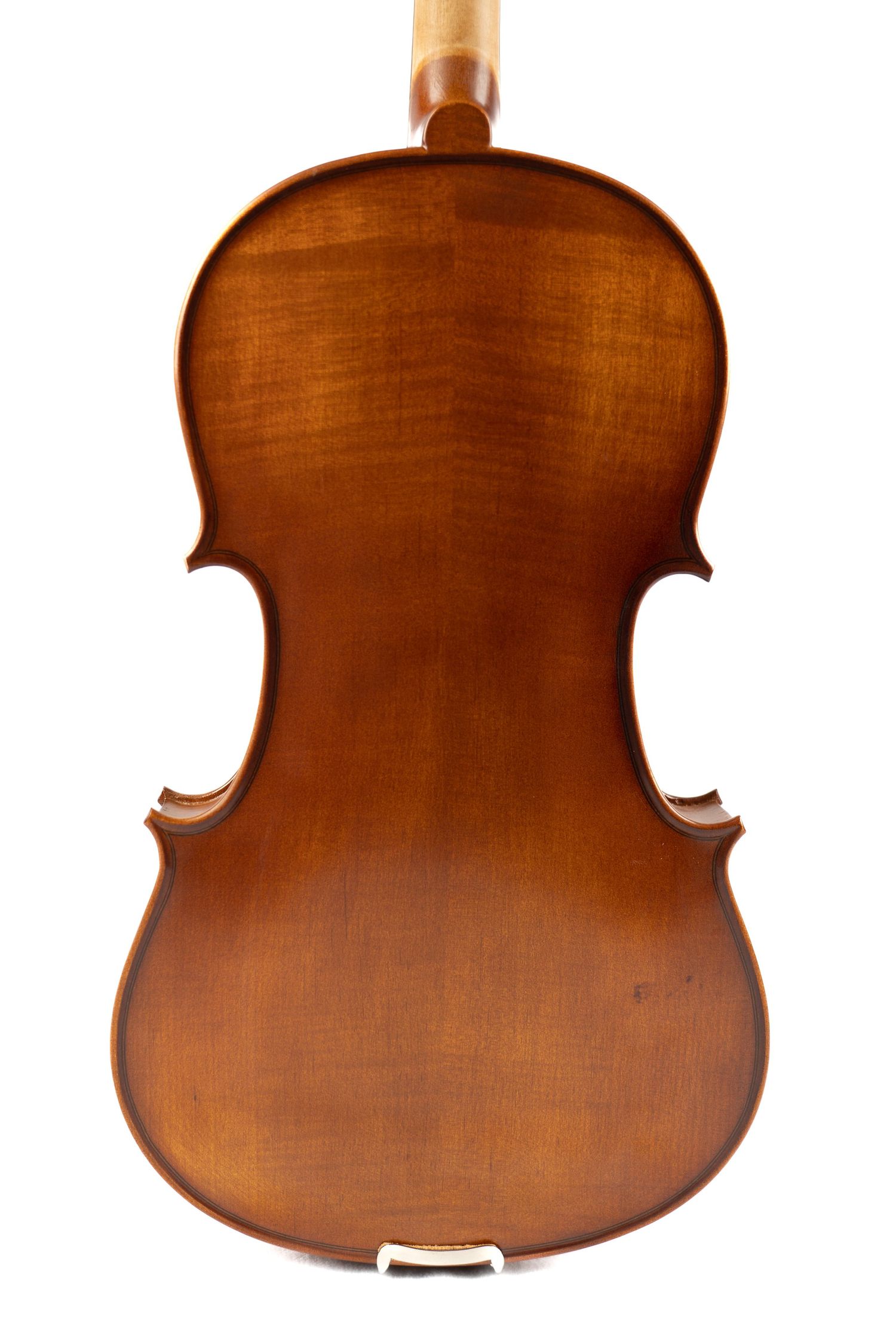 Back view of violin body showing rich wood grain and curved edges on white background.