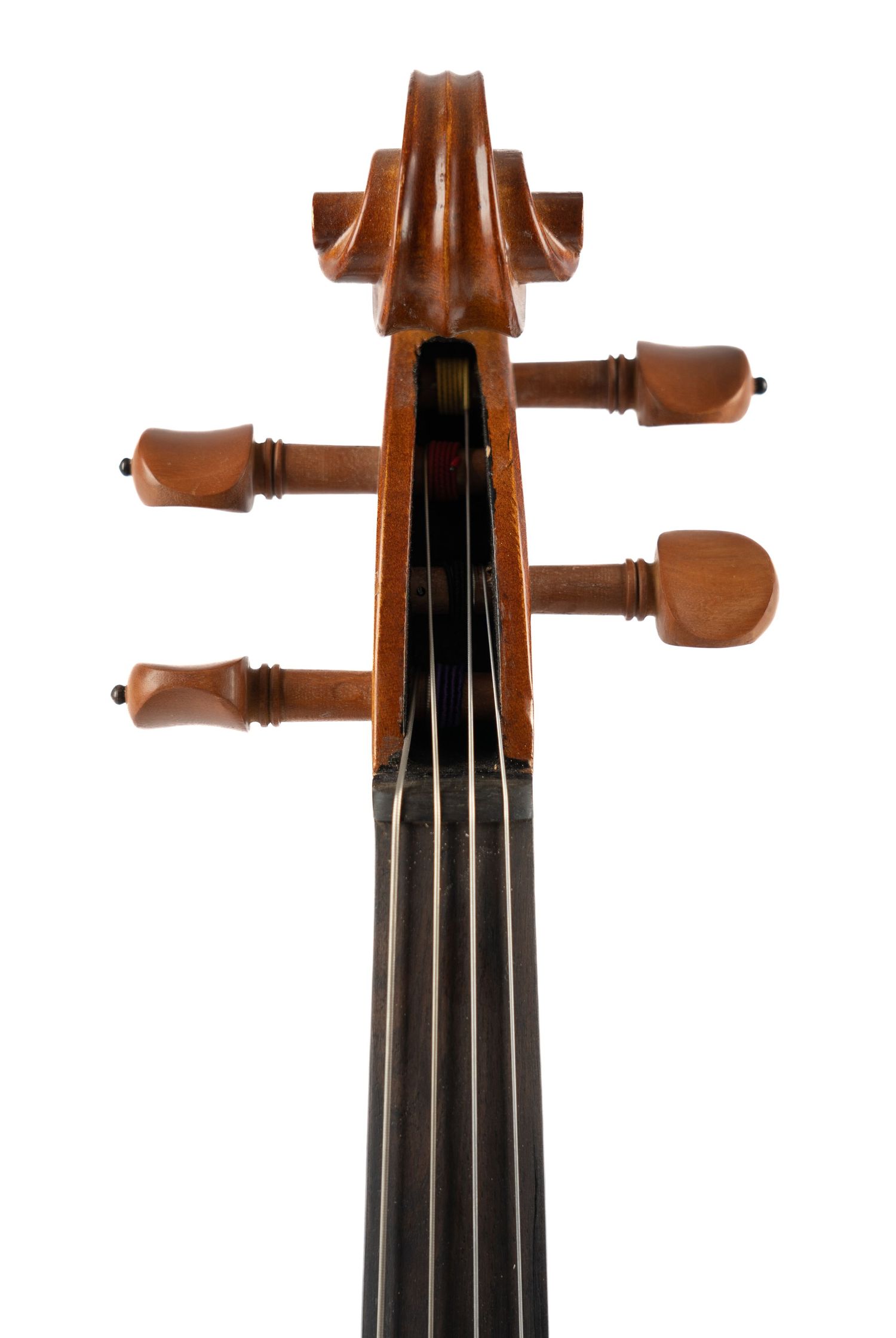 Close-up of violin neck and pegbox showing strings and tuning pegs.