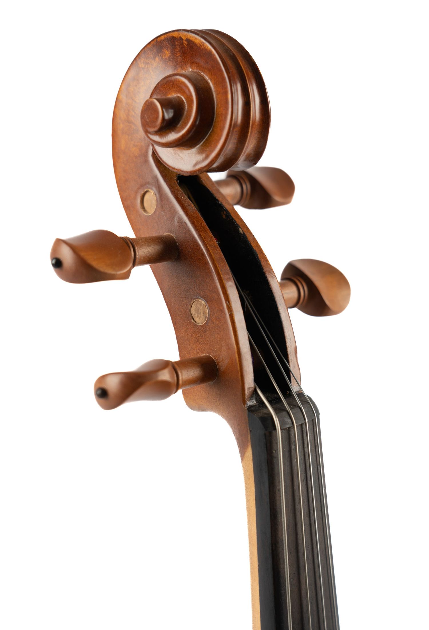 Detailed view of violin scroll, strings, and pegs showing fine craftsmanship.