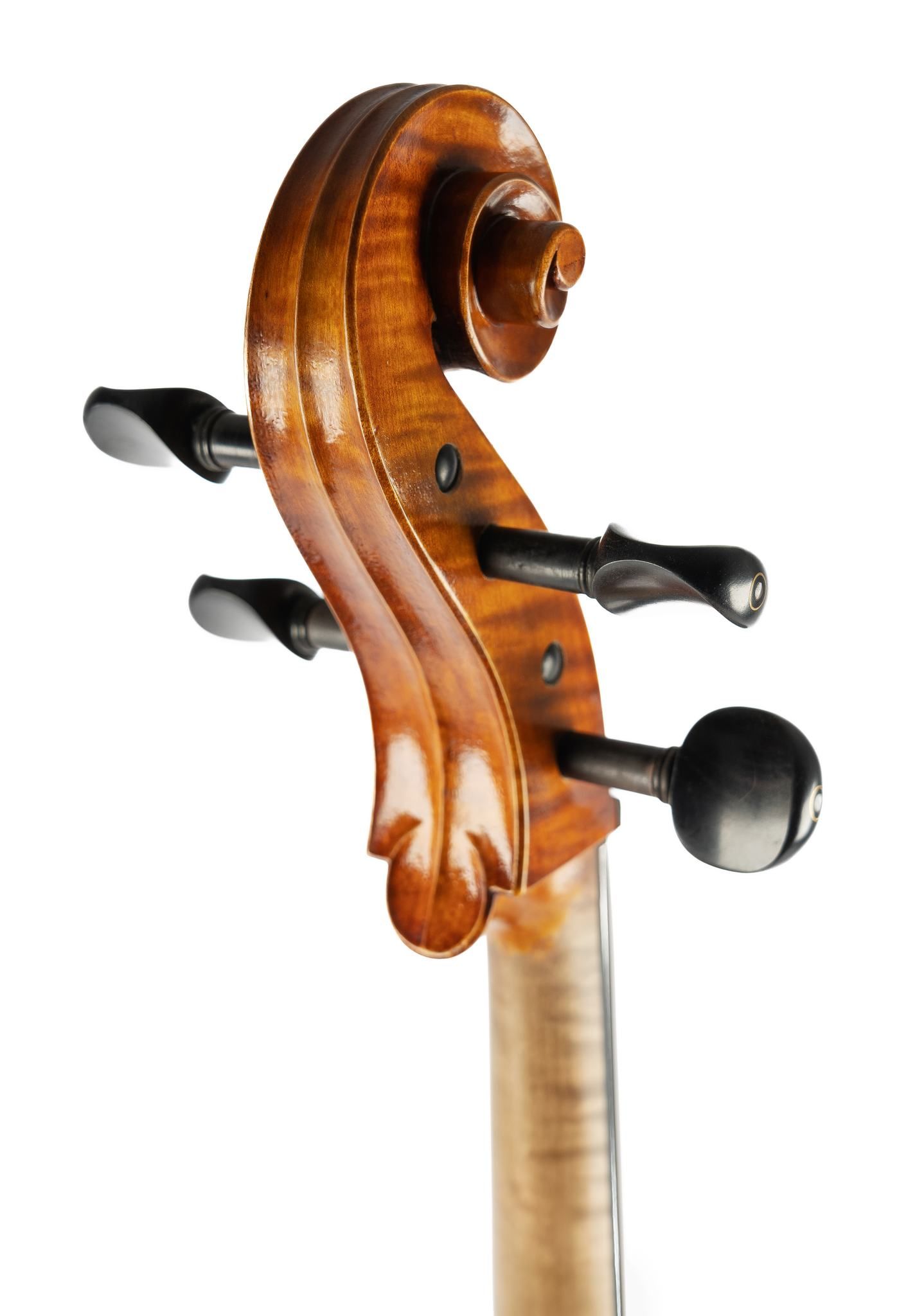 Detailed view of a cello scroll with black tuning pegs against white background.