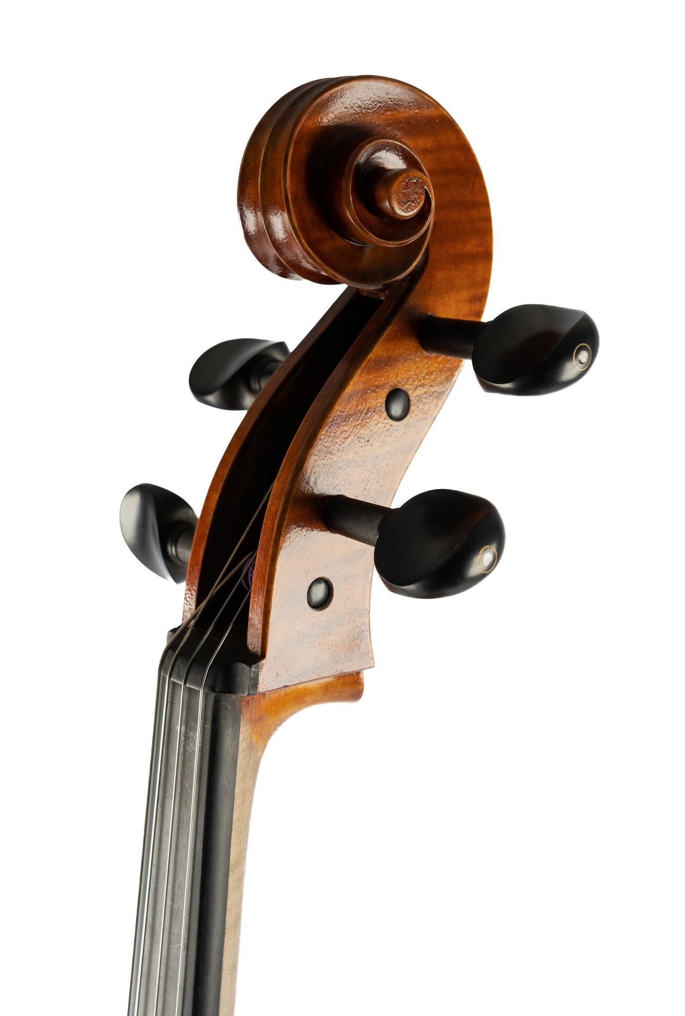 Close-up view of a wooden violin scroll and pegbox with black tuning pegs against white background.