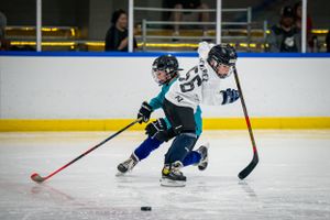 kid hockey players