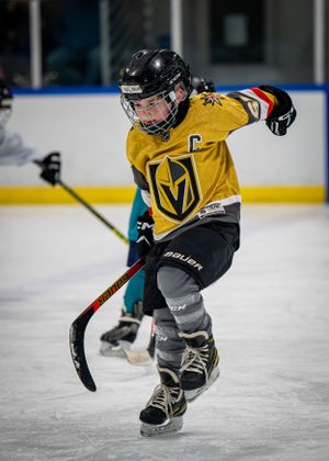 hockey celebration