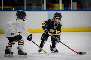 kid hockey players