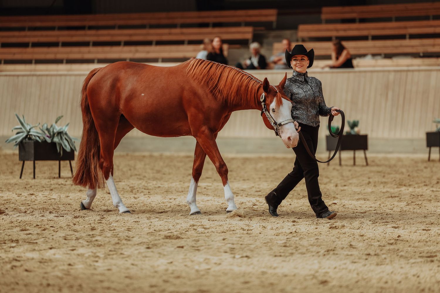 A chestnut horse being led in a sandy indoor arena during a training session.