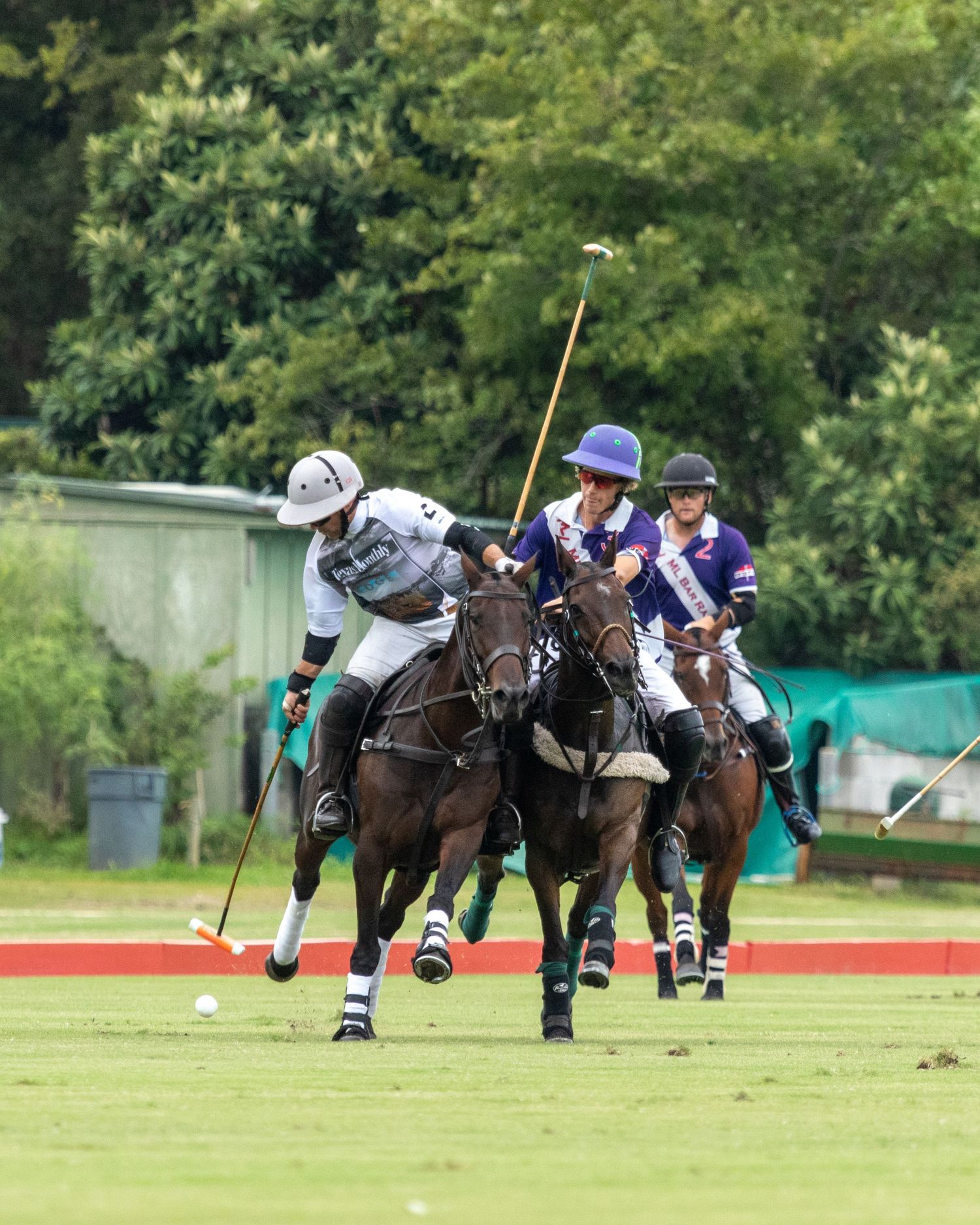 Polo