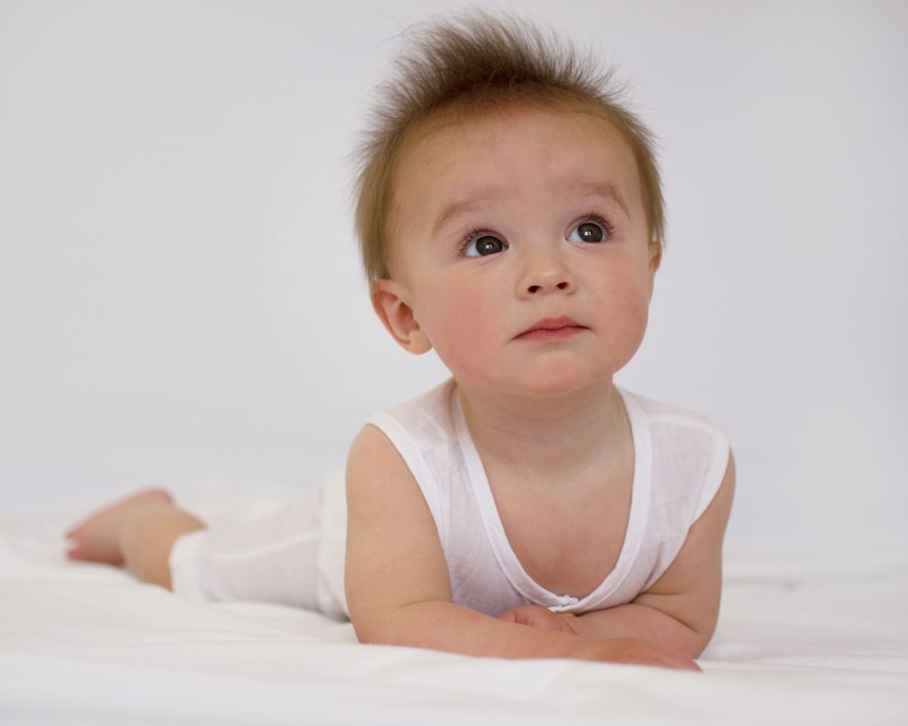 Sitter Photography Feilding