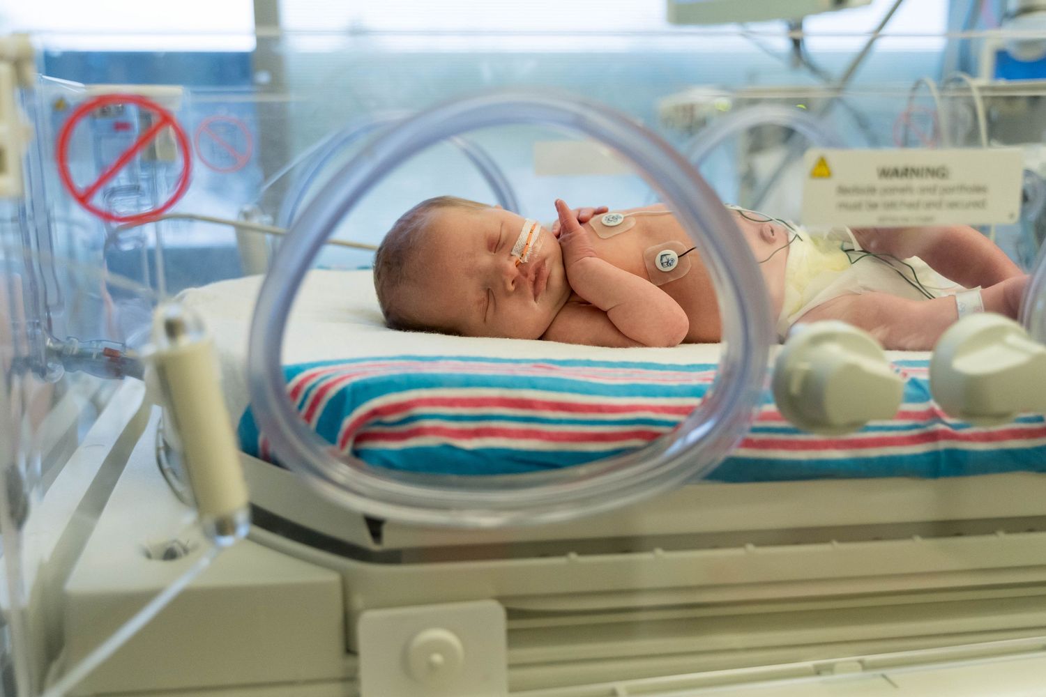 NICU Photos Rochester NY