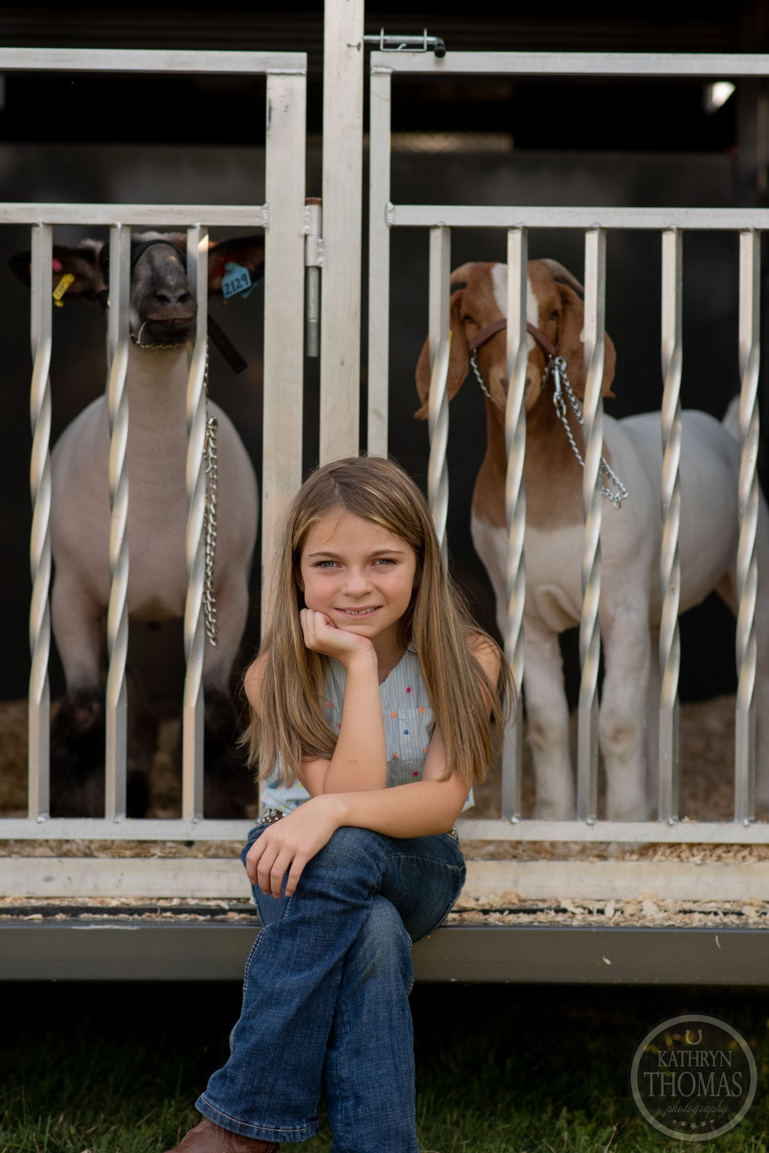 Horses peek through barn stalls while someone sits on the railing outside.