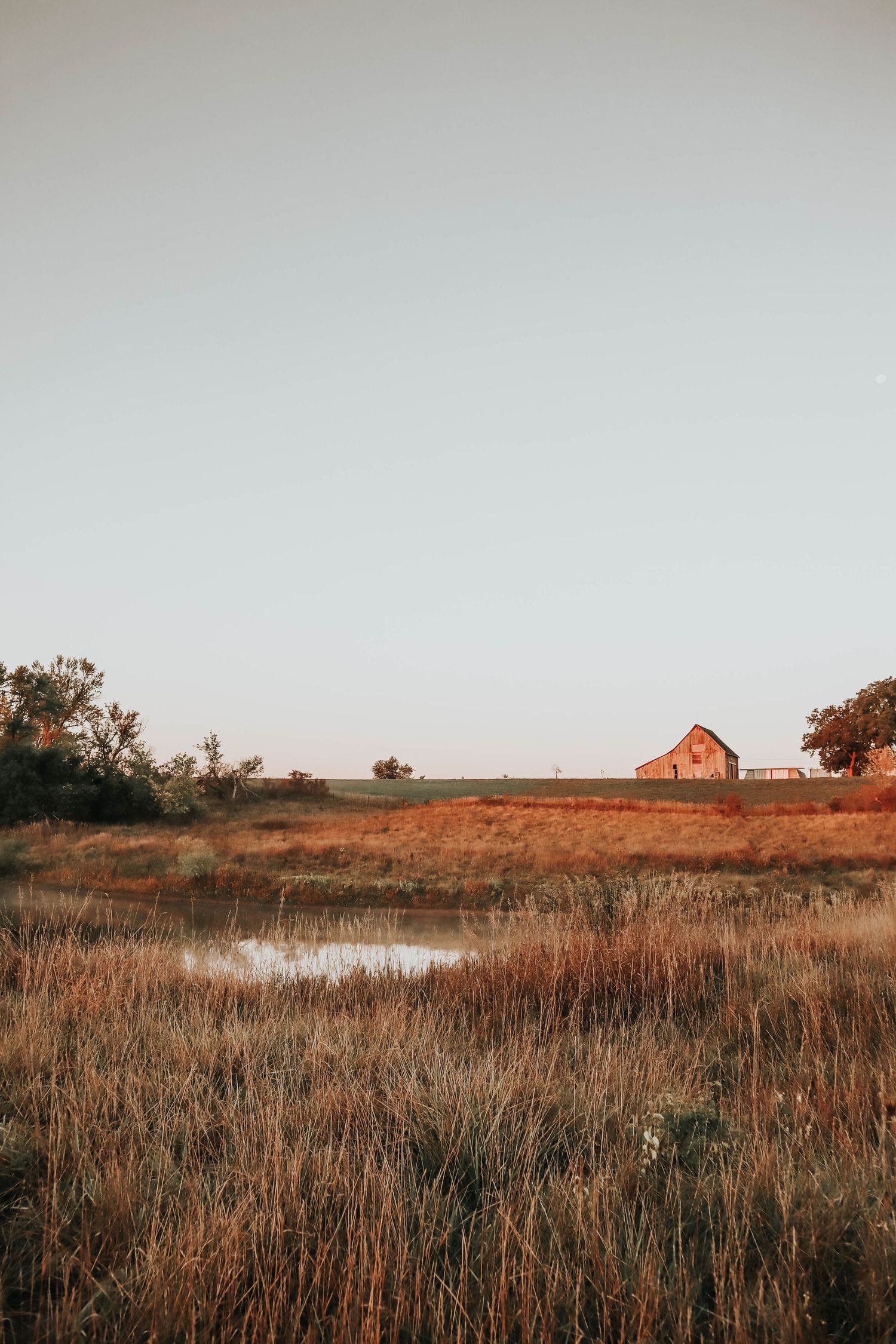 A peaceful countryside scene with a distant red barn and pond surrounded by golden grass.