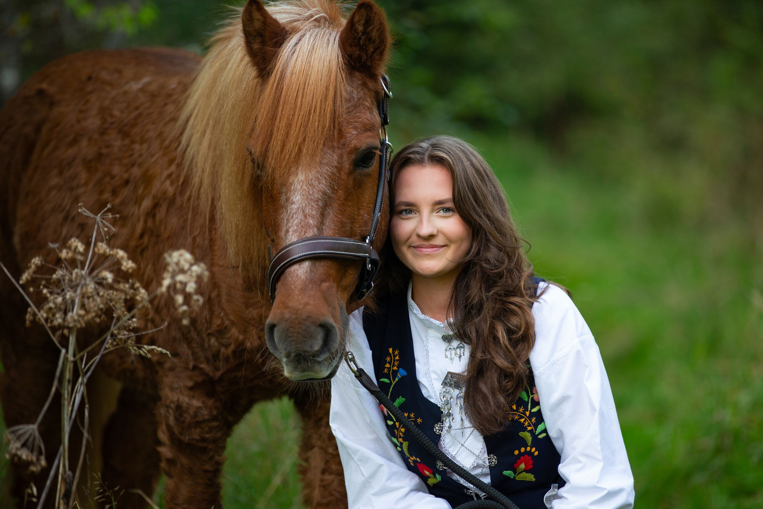 Portrait with brown horse in traditional dress outdoors.