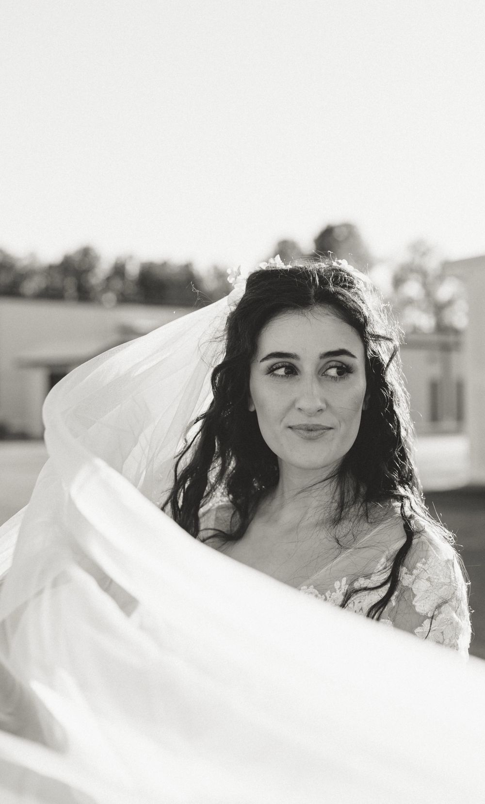 Black and white portrait of bride with flowing veil in natural light.