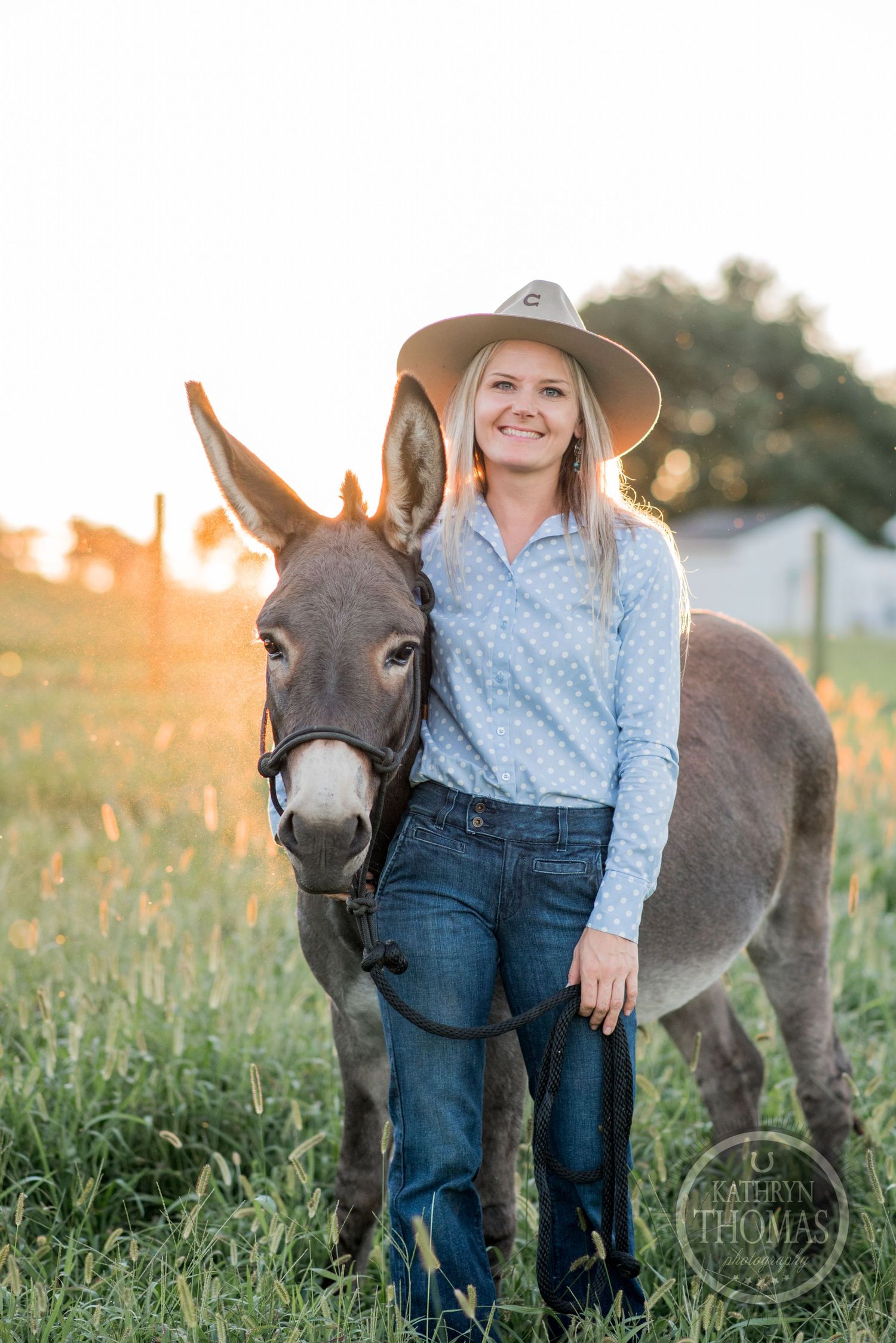 A friendly donkey stands in a sunlit meadow with farm buildings in the background.
