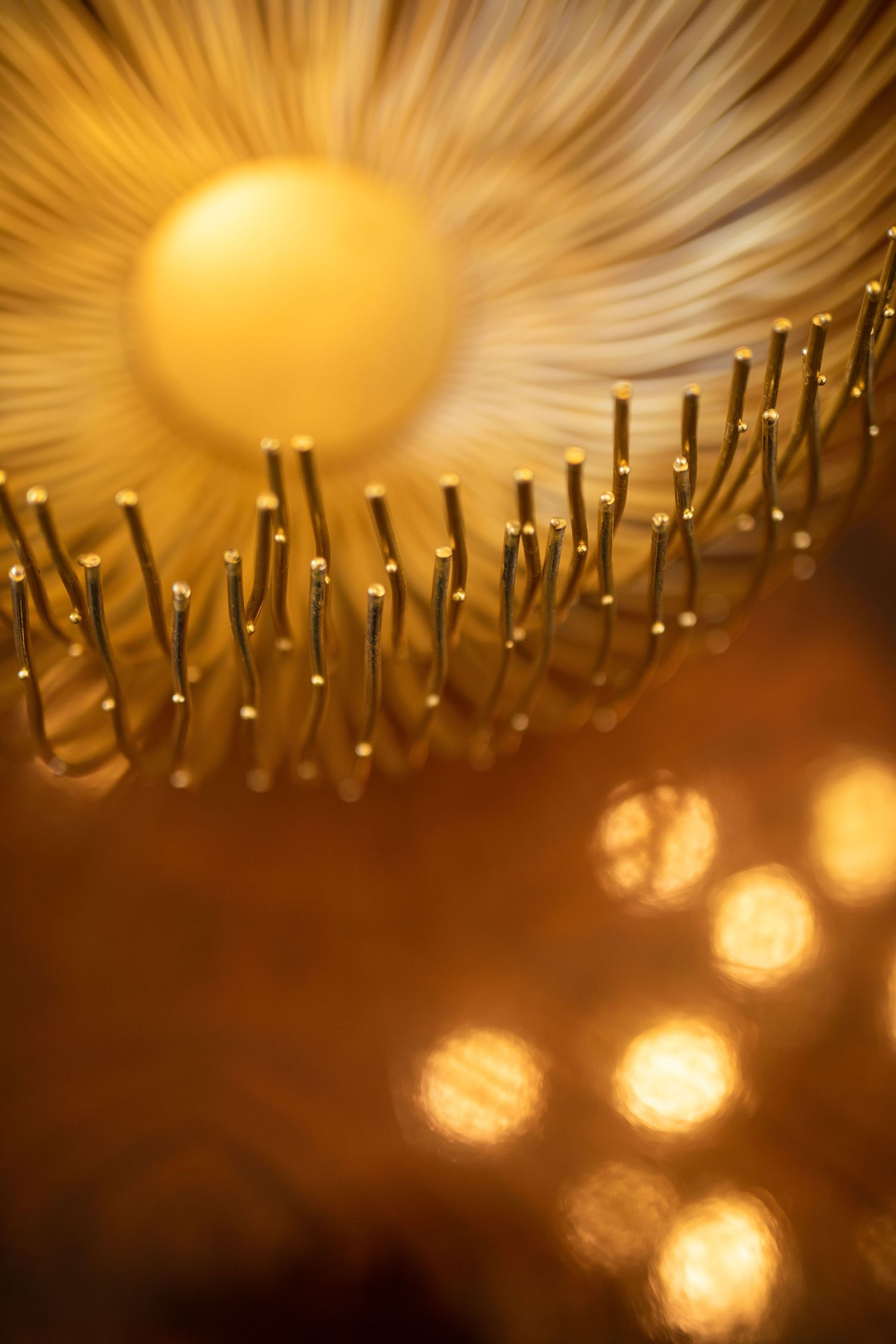 Close-up of a dandelion-like light fixture with golden rays against a warm bokeh background.