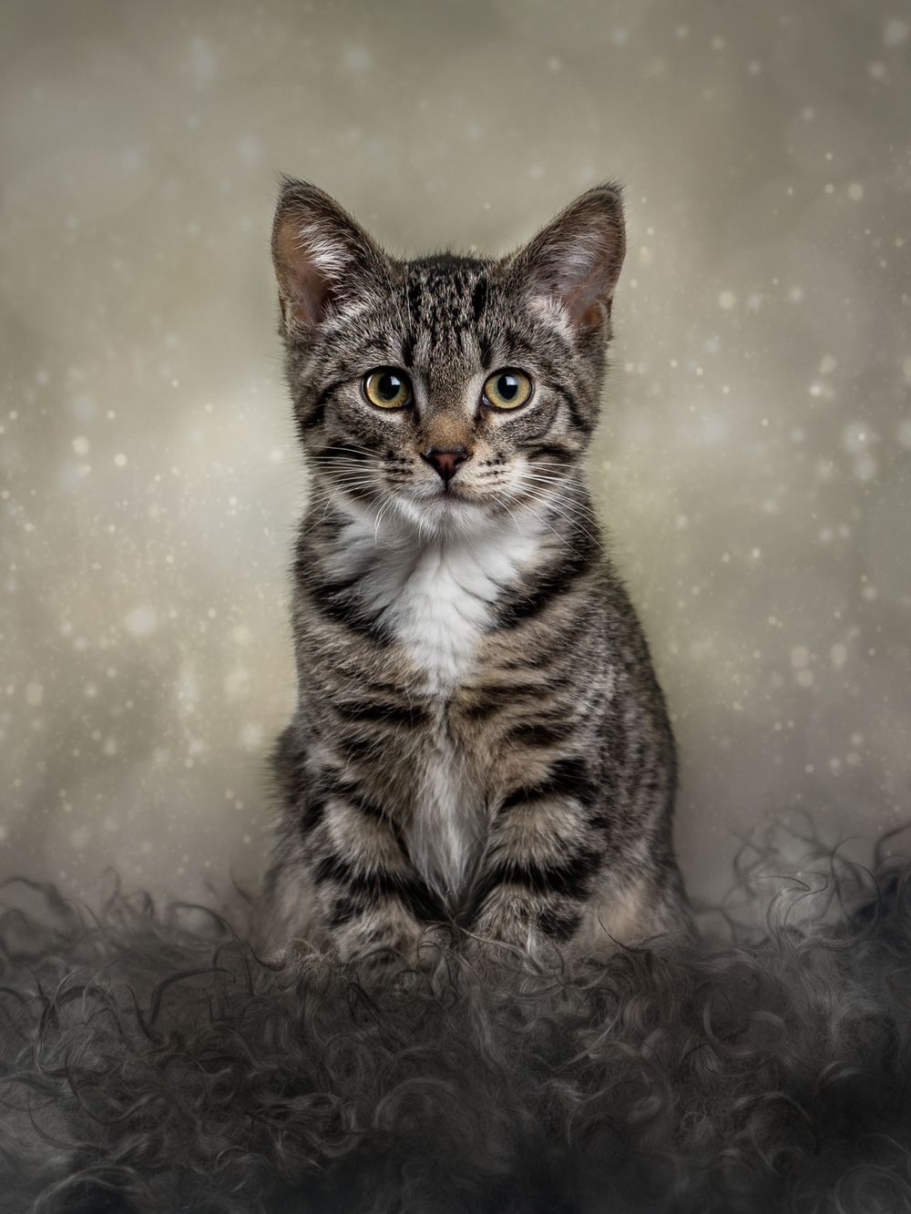 Portrait of a tabby kitten with striking green eyes against a dreamy snowy background.