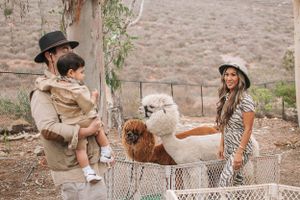 Family visits with llamas and alpacas in an outdoor enclosure surrounded by eucalyptus trees.