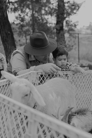 Black and white photo of visitors observing farm animals through a metal enclosure.