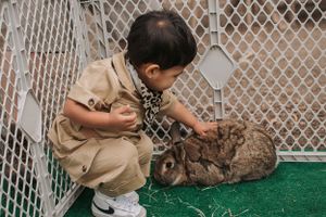 A child wearing a beige outfit playing with a white bunny rabbit on artificial turf.
