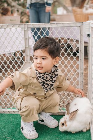 A young child in khaki clothing interacting with a white rabbit on green turf.