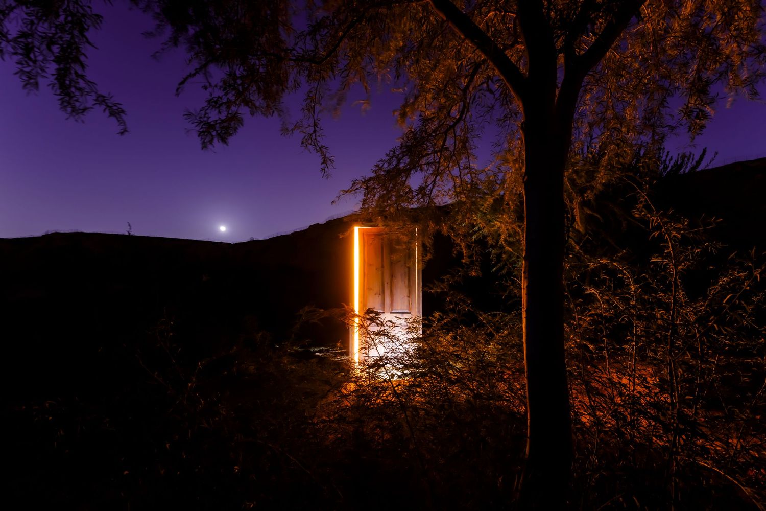Glowing doorway stands alone in dark landscape with moon and trees silhouetted against purple sky.