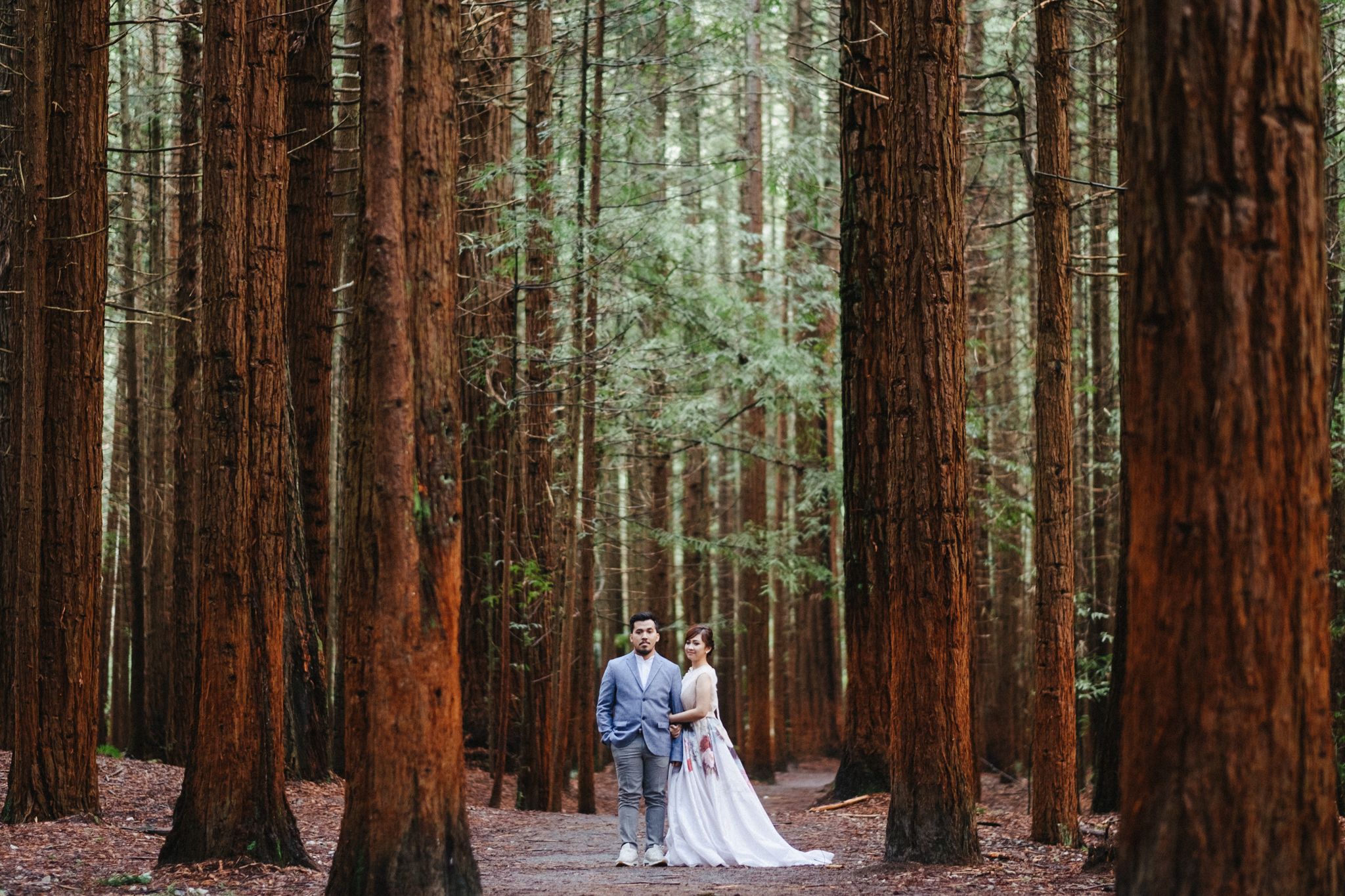 Couple posing inside redwood tree forrest in Rotorua