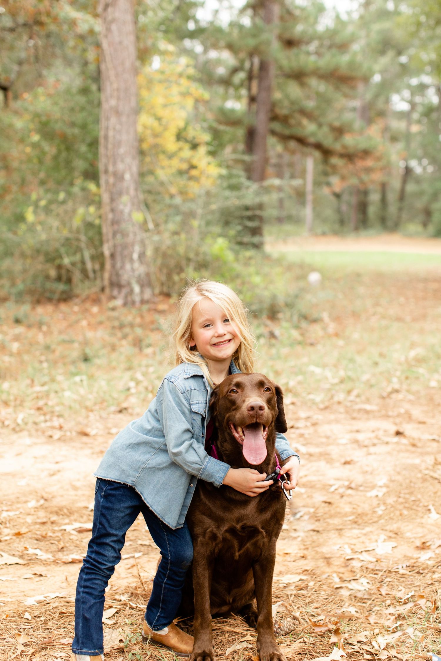 Young child hugging a happy chocolate Labrador retriever on a woodland trail during autumn.