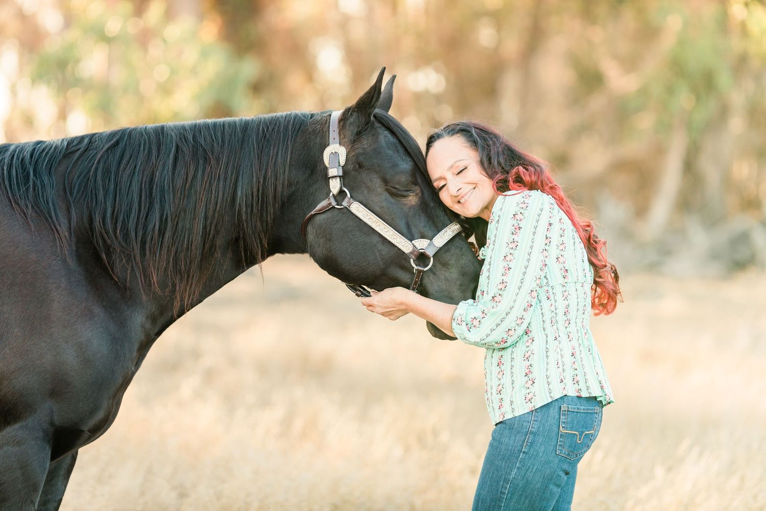 A black horse receiving affection and attention in a warm sunlit outdoor setting.