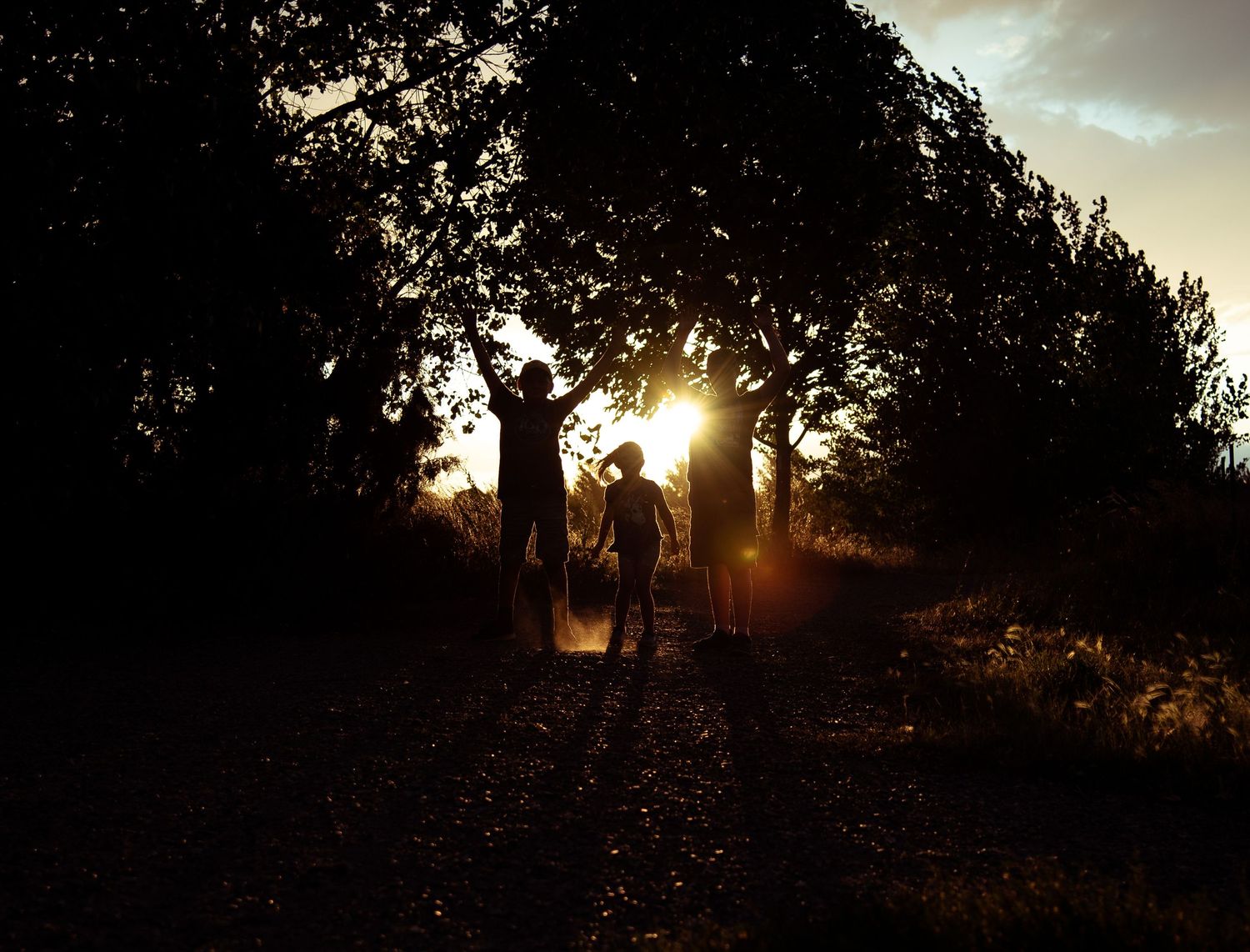 Silhouettes of a family under trees with arms raised at sunset, creating dramatic backlighting."