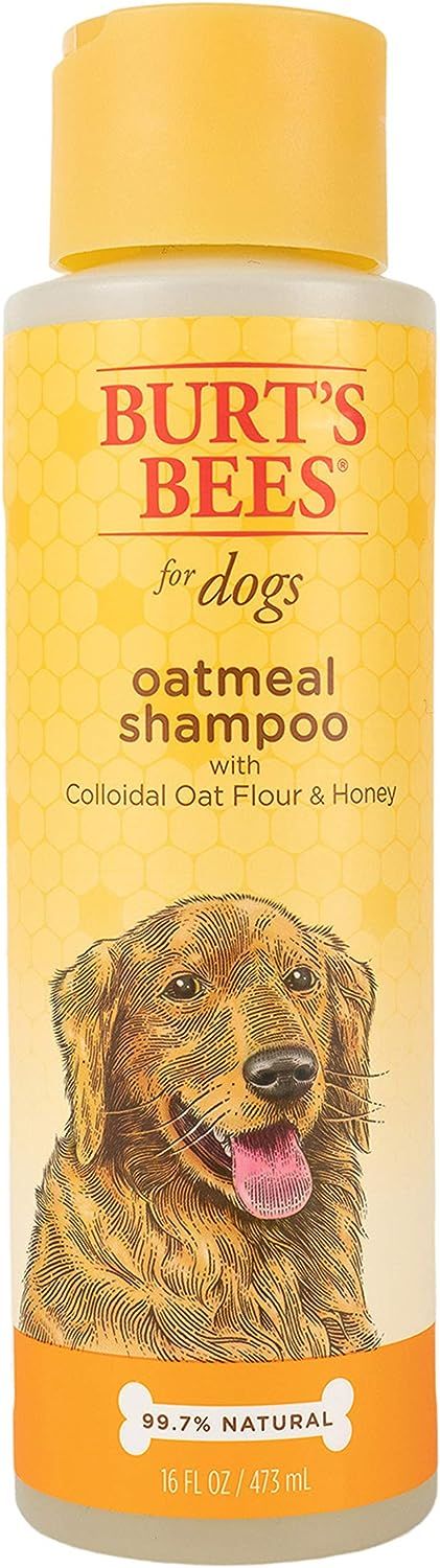 Shampoo