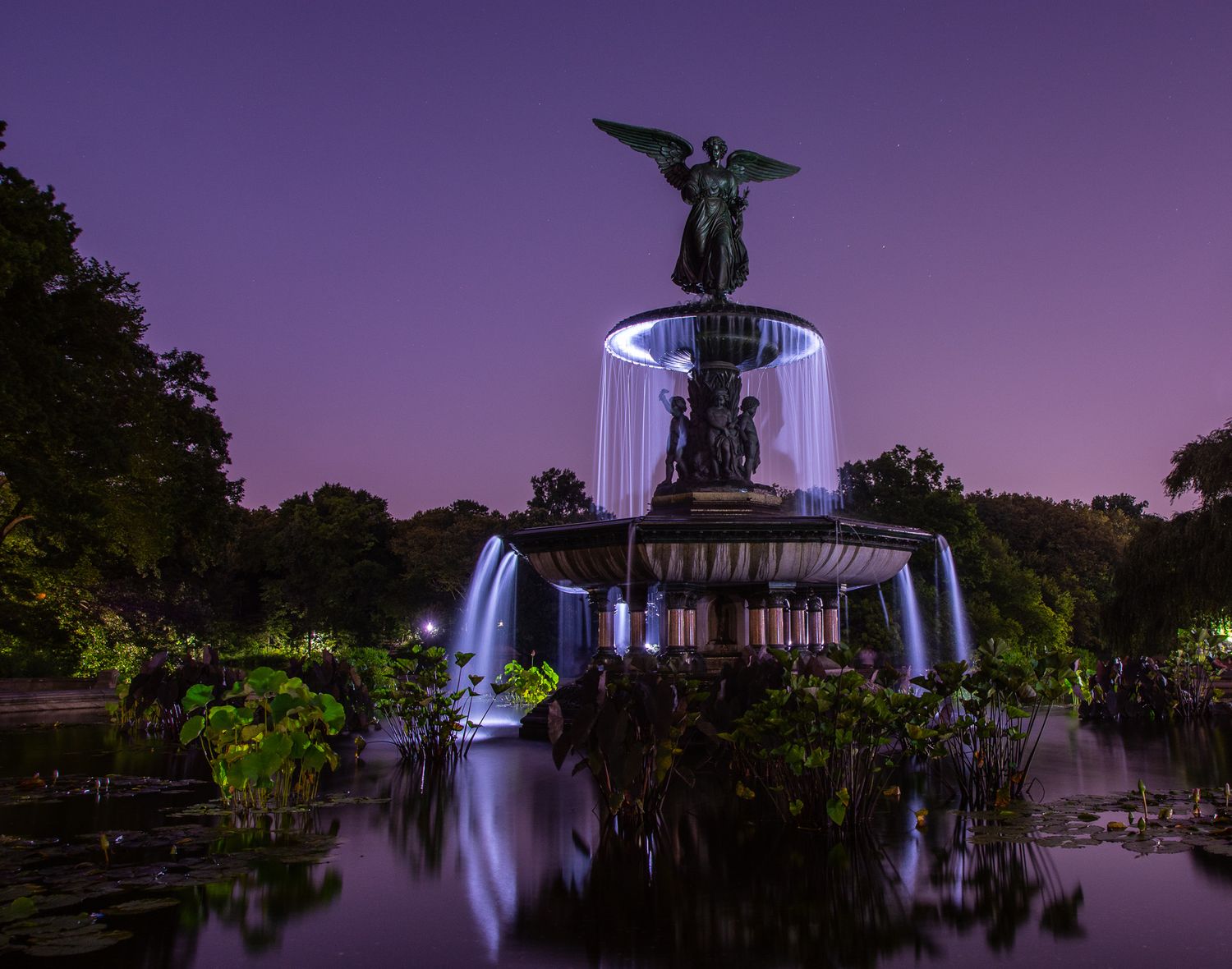 Real estate Photographer-Photoed By Fred-Patchogue, Ny-Photographer-Landscape Photographers