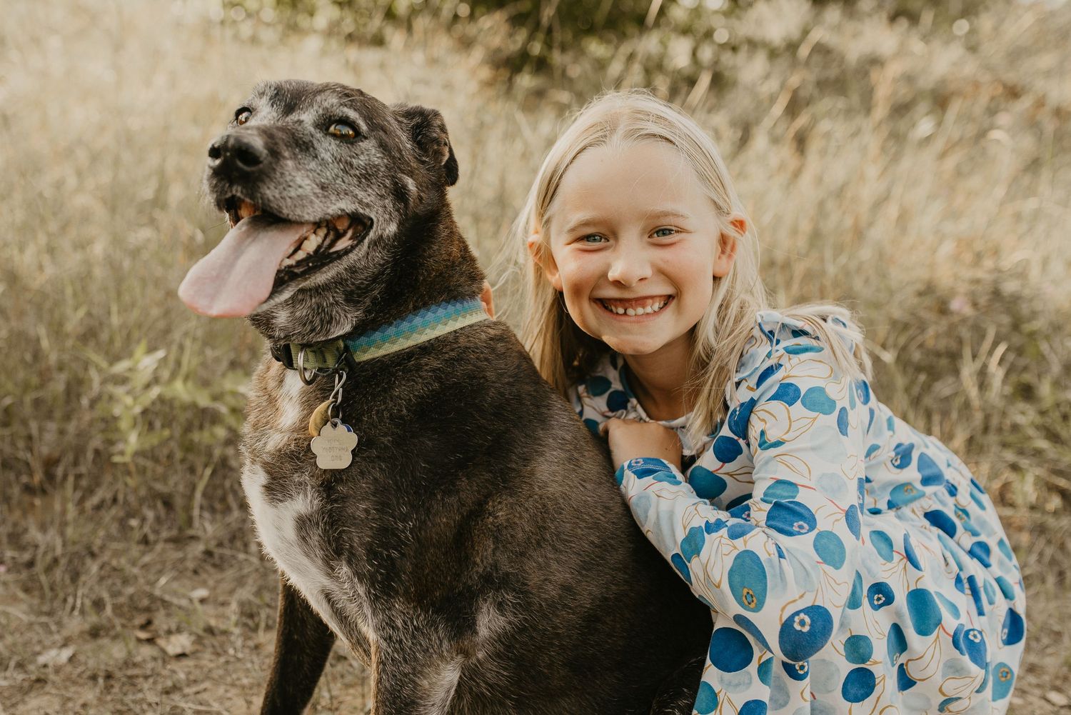Happy child in a floral dress poses with their happy black and gray dog in a summer field.