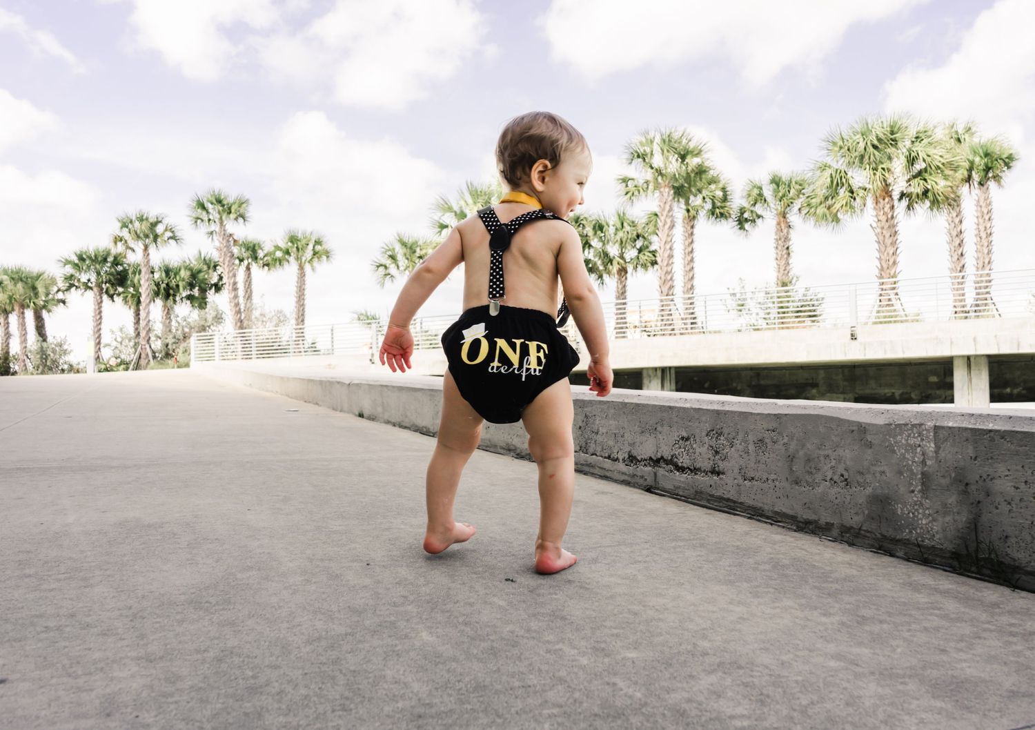 Tampa Bay Family Photographer, Cake Smash