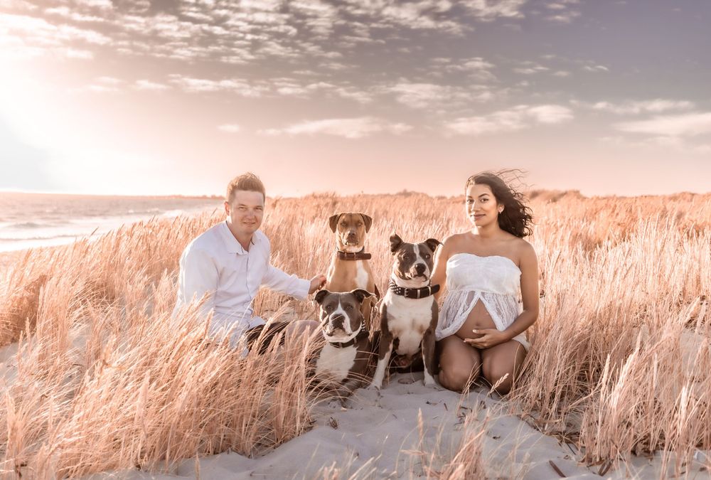 Woodman Point, Maternity, Coogee, Dogs, Photoshoot, Bump, Photos, Pregnancy, Motherhood