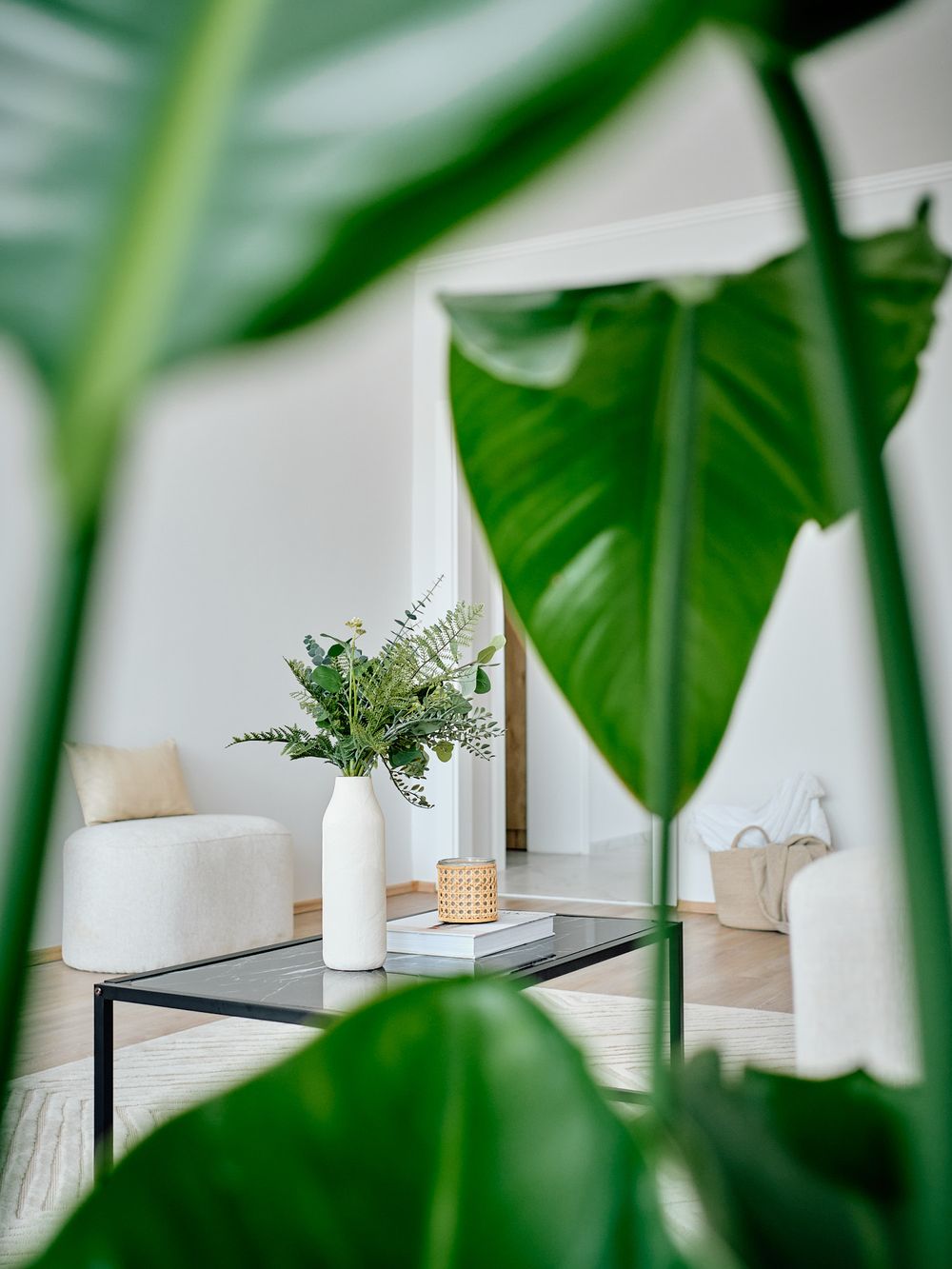 Indoor plants framing minimalist living room decor with white vase and candle holder.