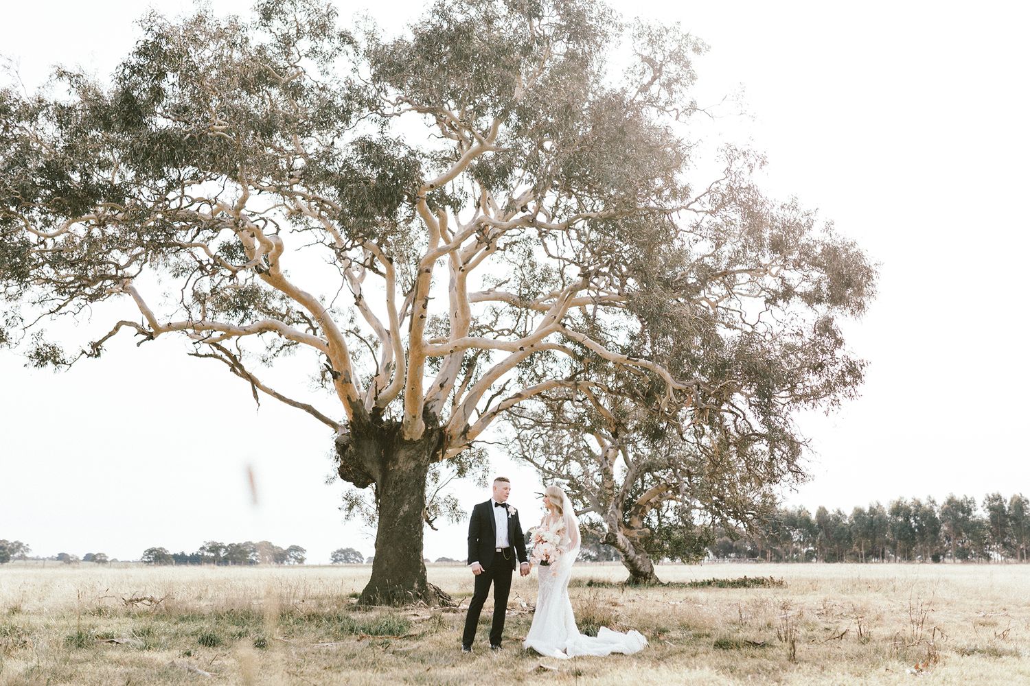 Dreamy wedding portrait beneath sprawling tree branches in soft natural lighting.