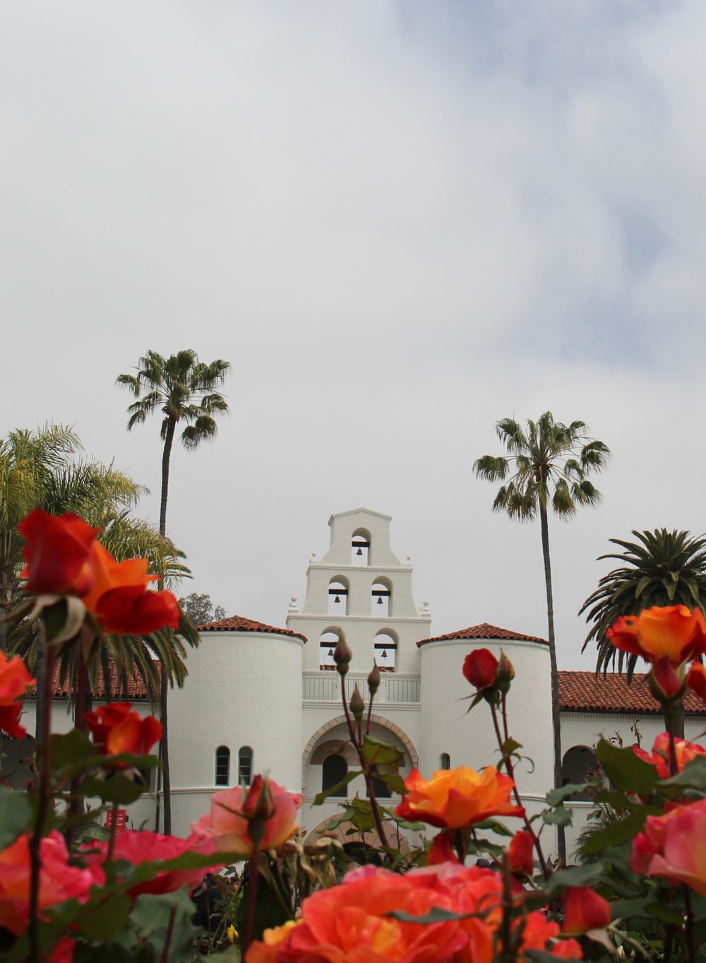 Spanish mission style building with bell tower framed by palm trees and vibrant red flowers.