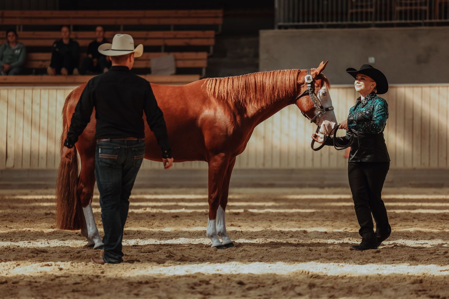 Two people discussing and evaluating a chestnut horse in an indoor arena.