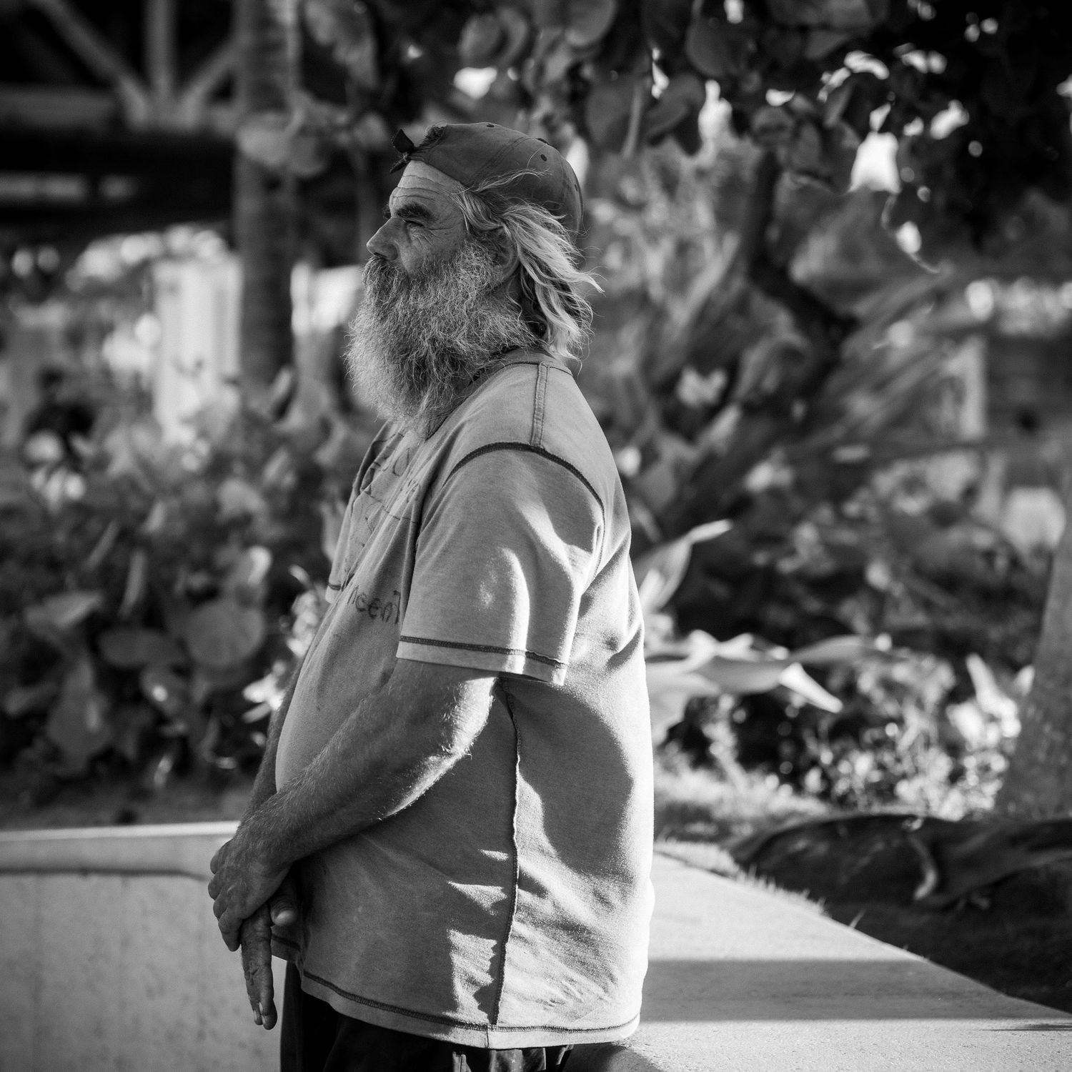 Side profile of someone with long gray beard wearing a polo shirt in an outdoor setting.