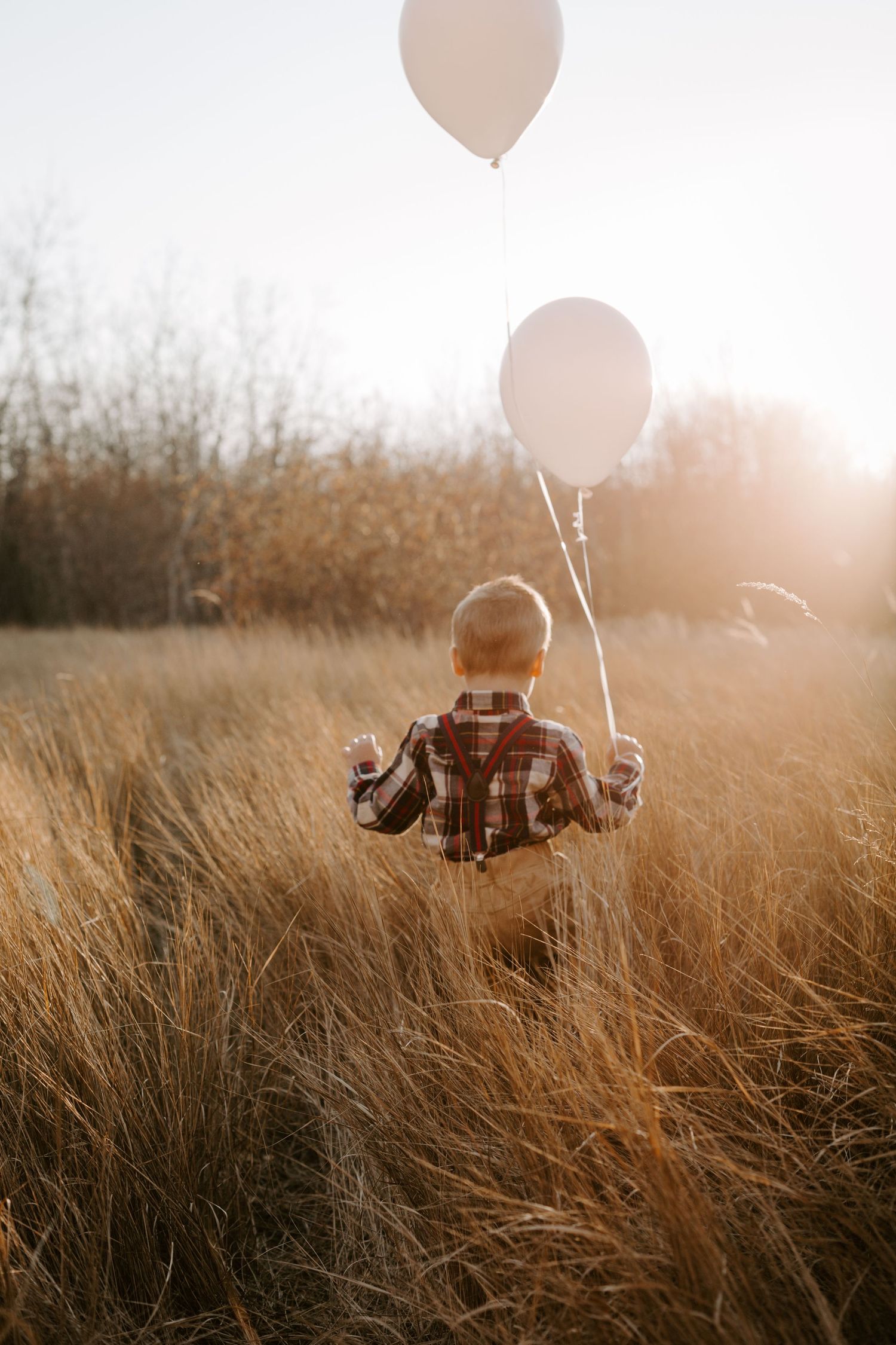 A boy in a field with balloons. Golden hour.