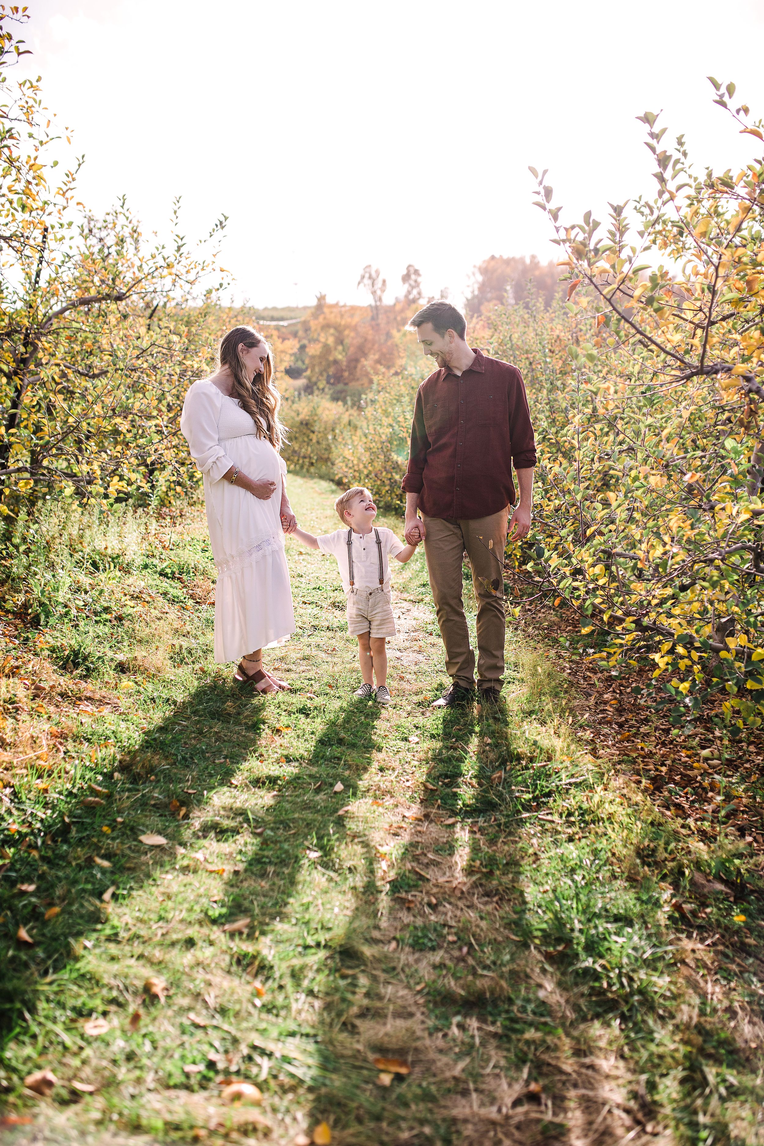 Pregnant woman and partner walking with toddler son in sunny apple orchard.