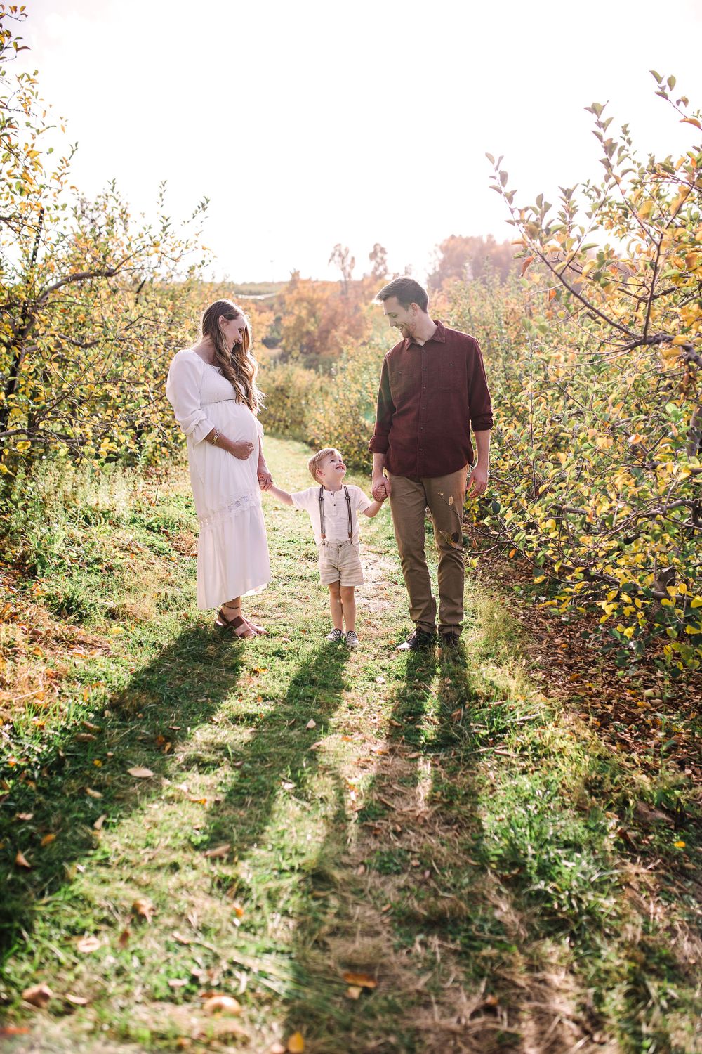 Pregnant woman and partner walking with toddler son in sunny apple orchard.