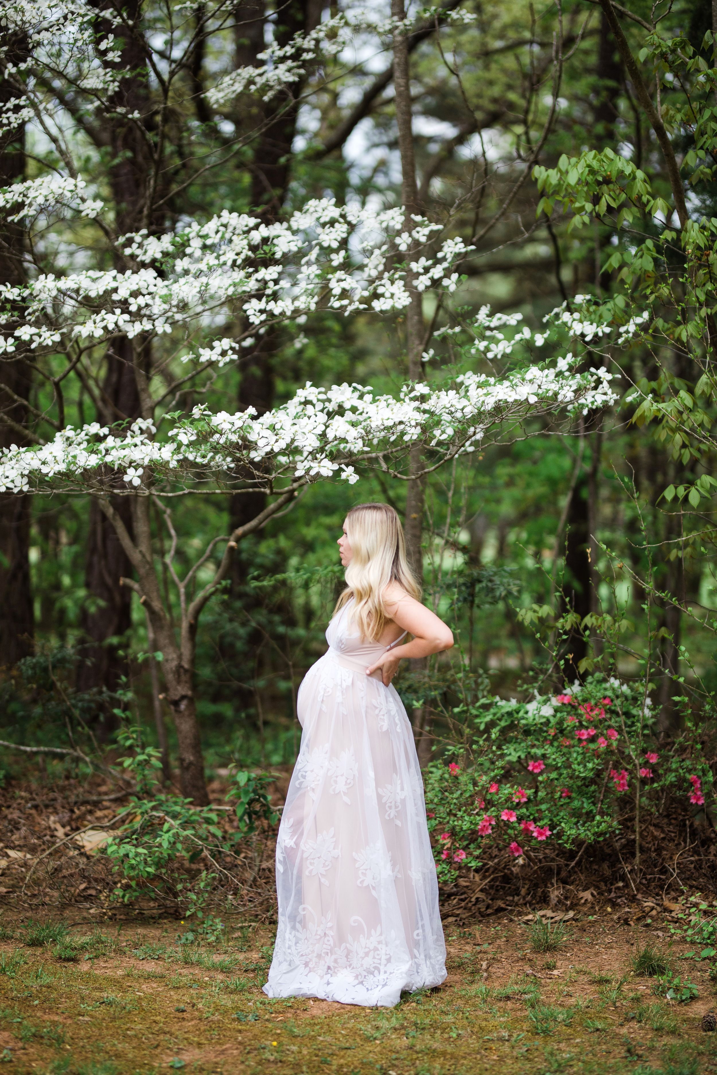 Pregnant woman in white lace gown standing under blooming dogwood tree in lush green forest.