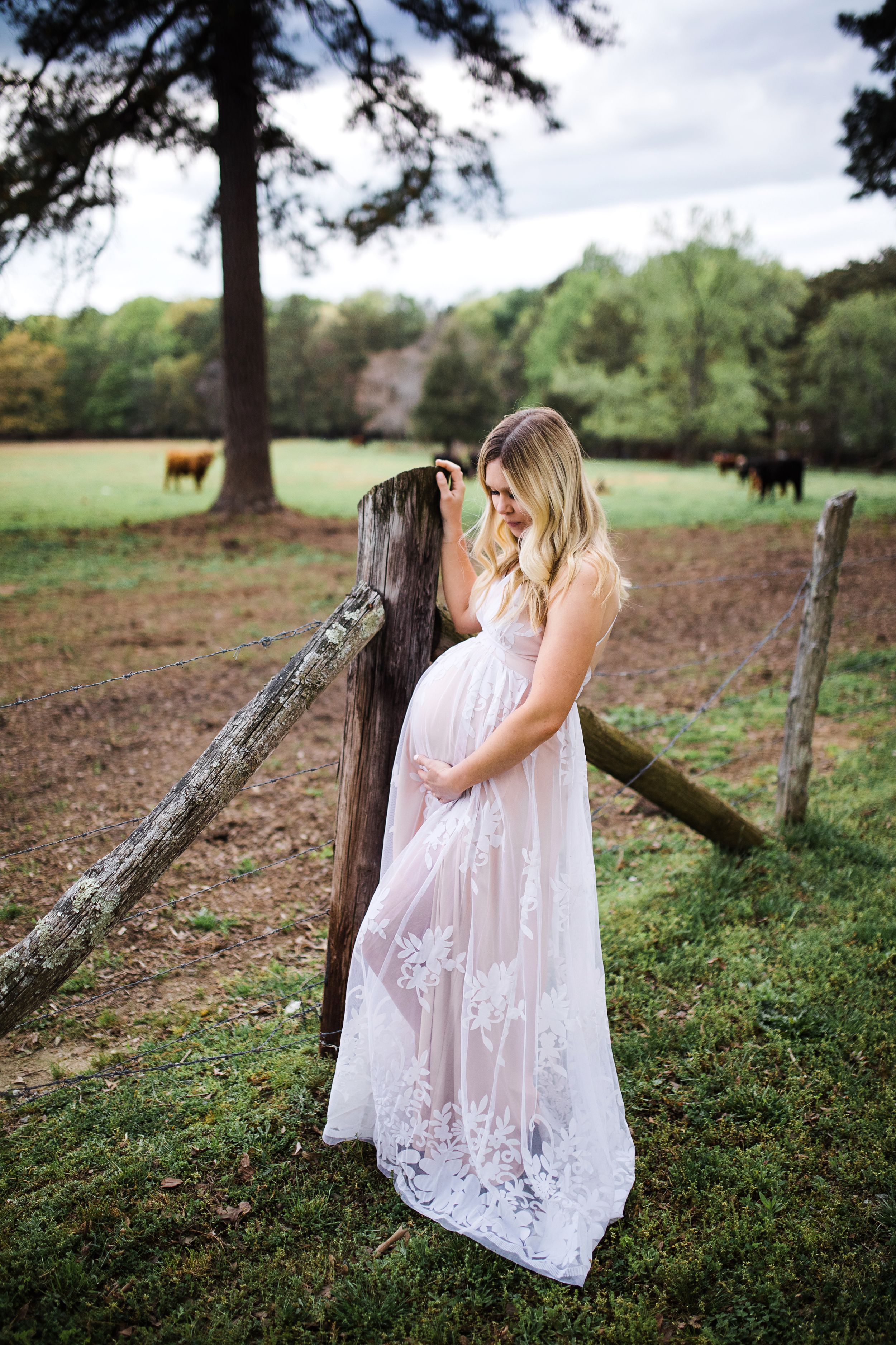 Pregnant woman in white lace gown leaning on rustic fence with cattle grazing in background.