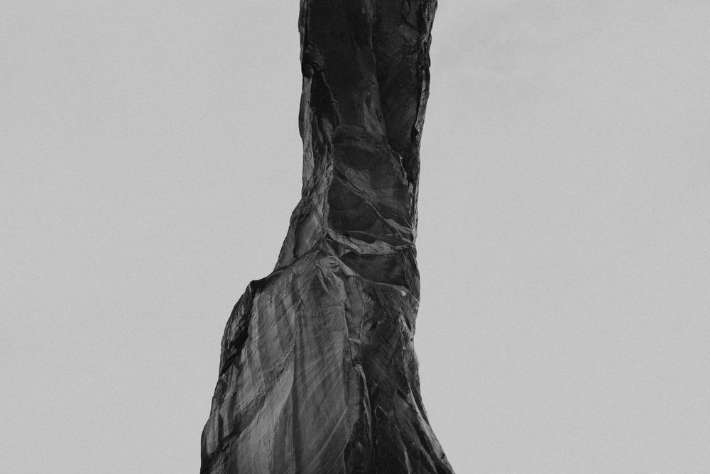 Dark silhouette of a tree trunk against a misty gray background creates a moody atmosphere.