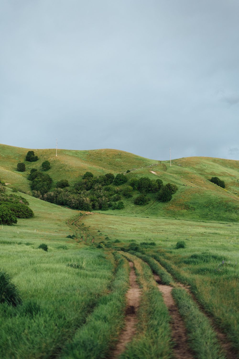 Winding dirt road cuts through rolling green hills under an overcast sky.