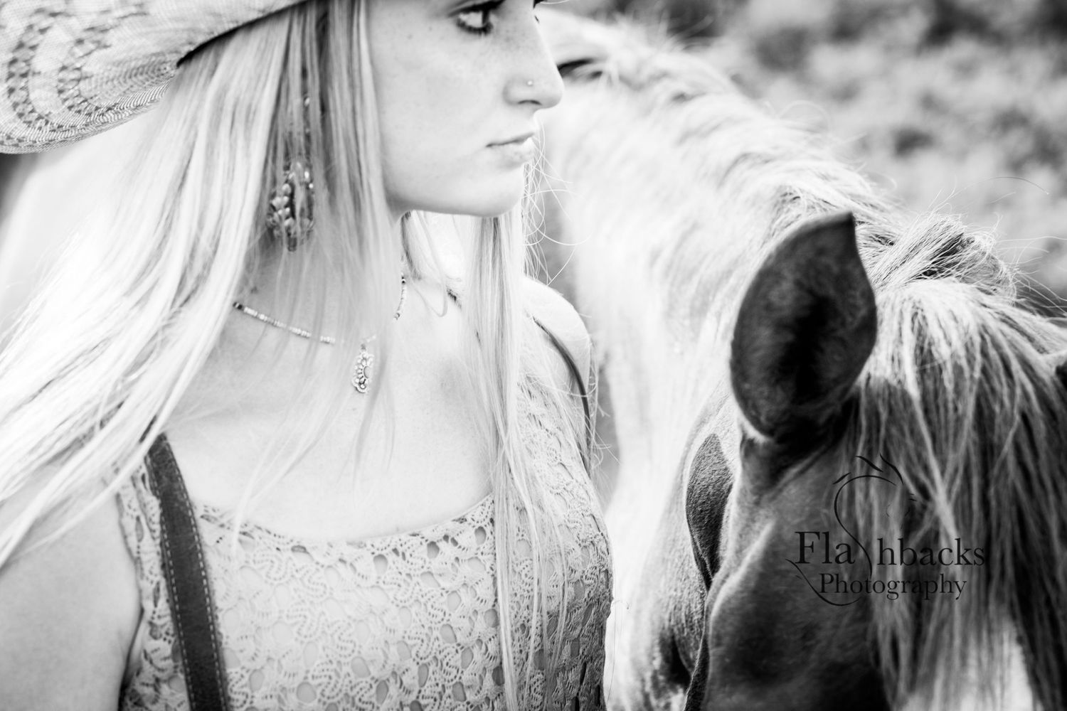NC Equine Photographer